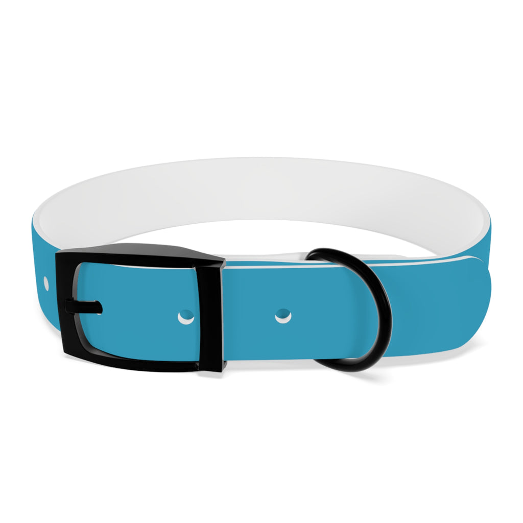 Durable Waterproof Dog Collar | Turquoise