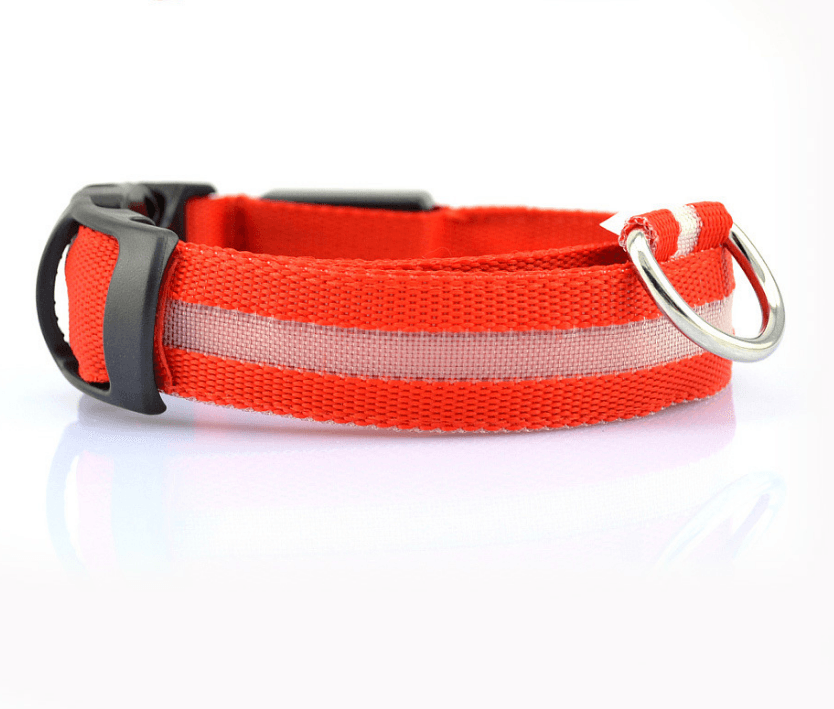 Luminous Glow-In-The-Dark Led Pet Collar: The Ultimate Night Safety Accessory For Dogs And Cats
