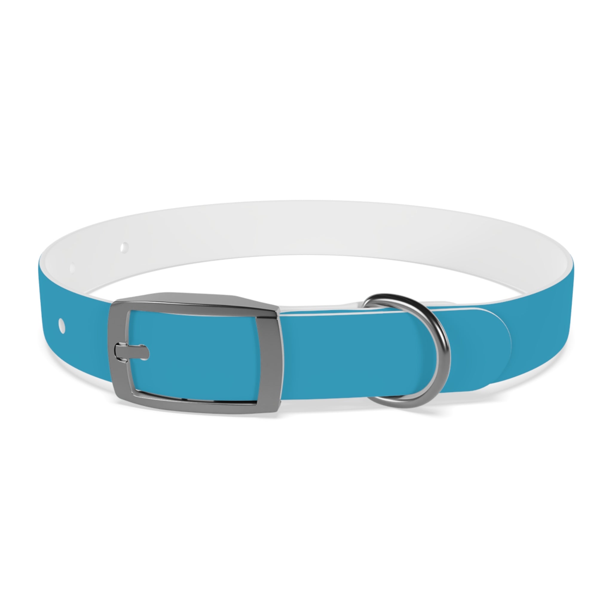 Durable Waterproof Dog Collar | Turquoise