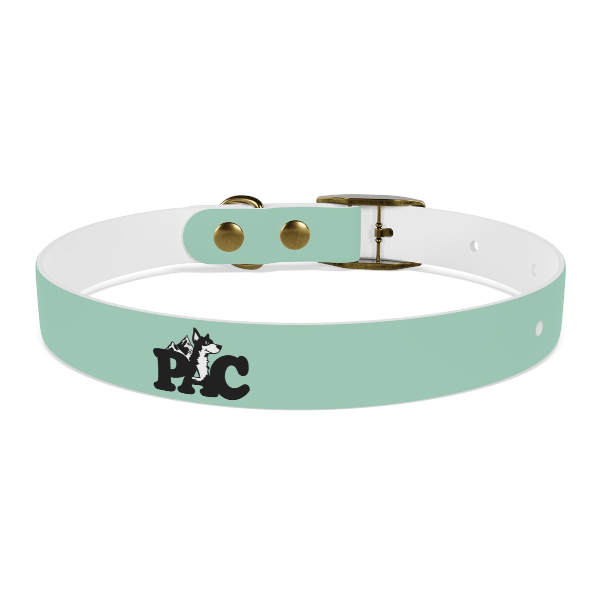 Durable Waterproof Dog Collar | Mint