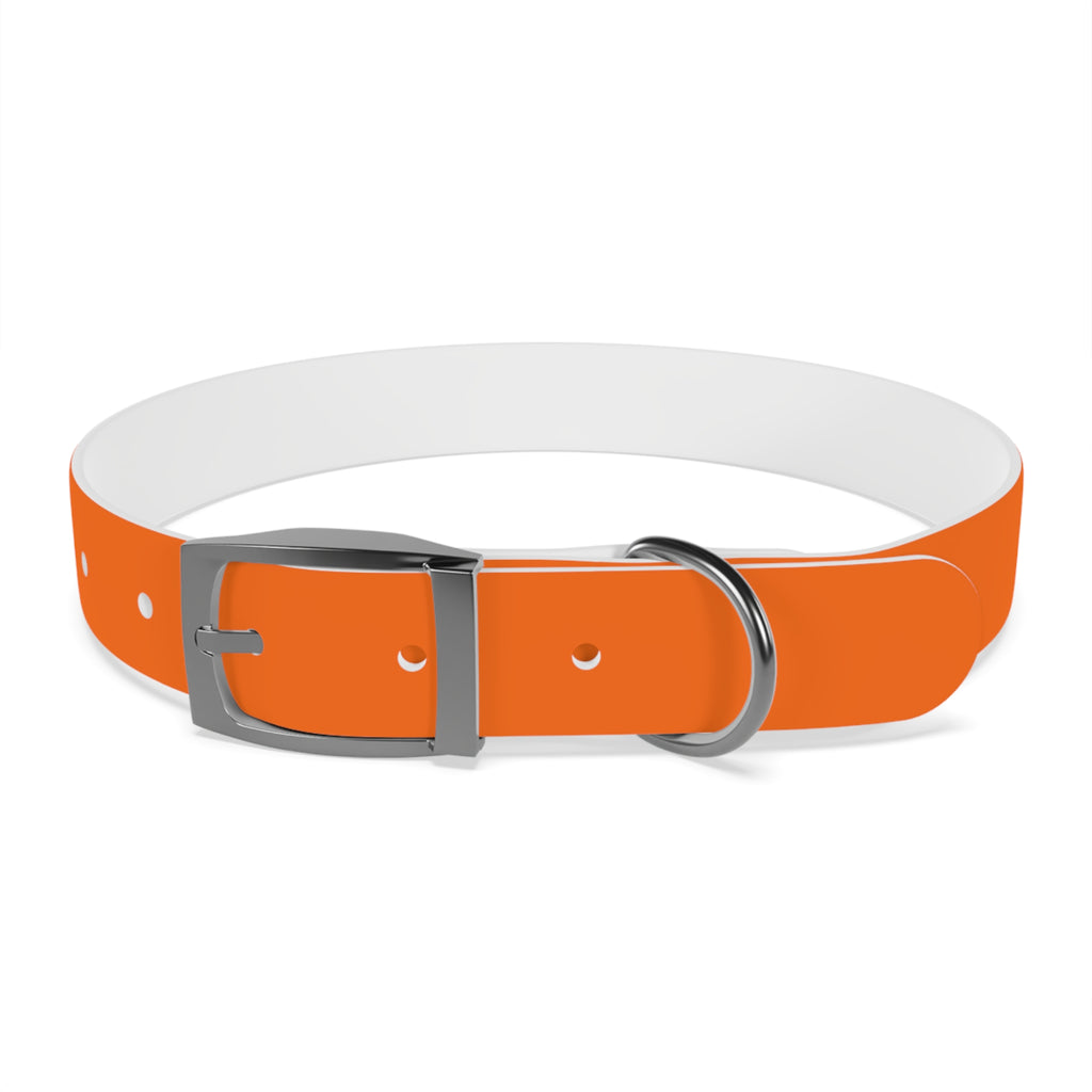 Durable Waterproof Dog Collar | Orange