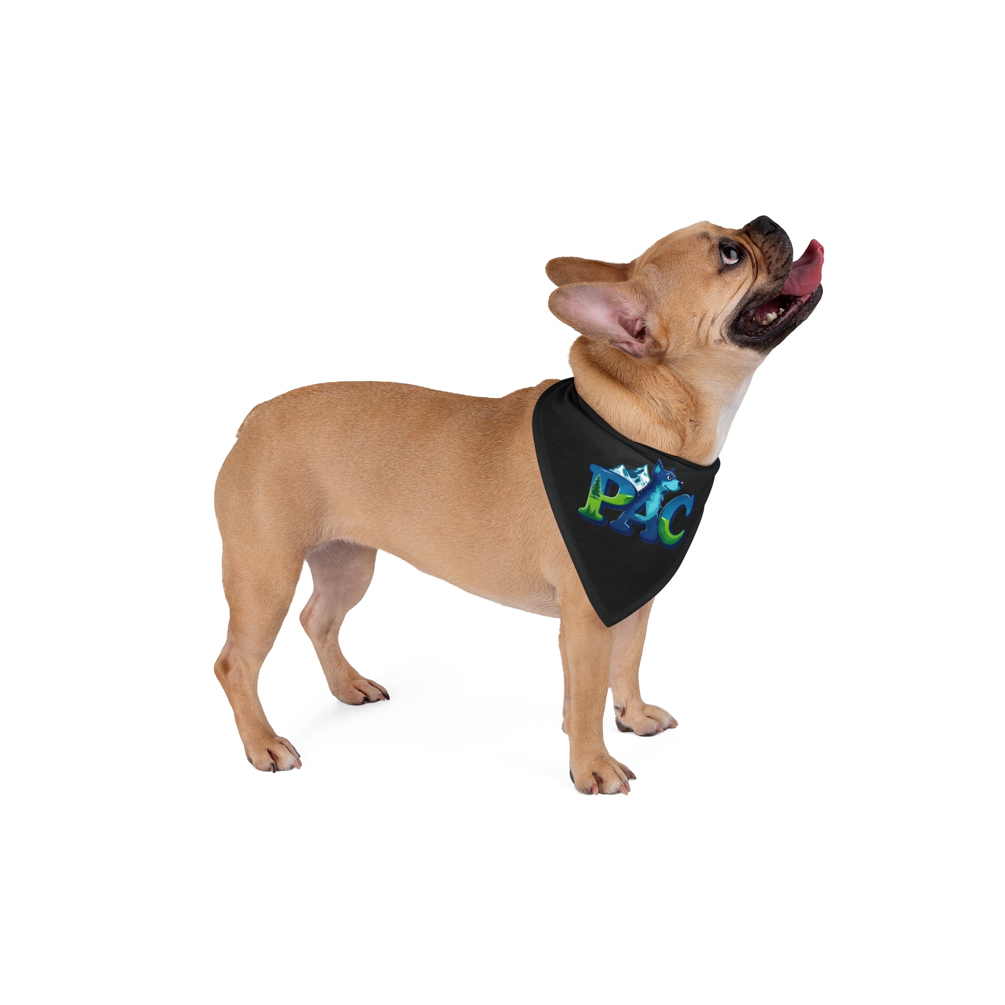 Puppy Adventure Center | Dog Bandana | Black