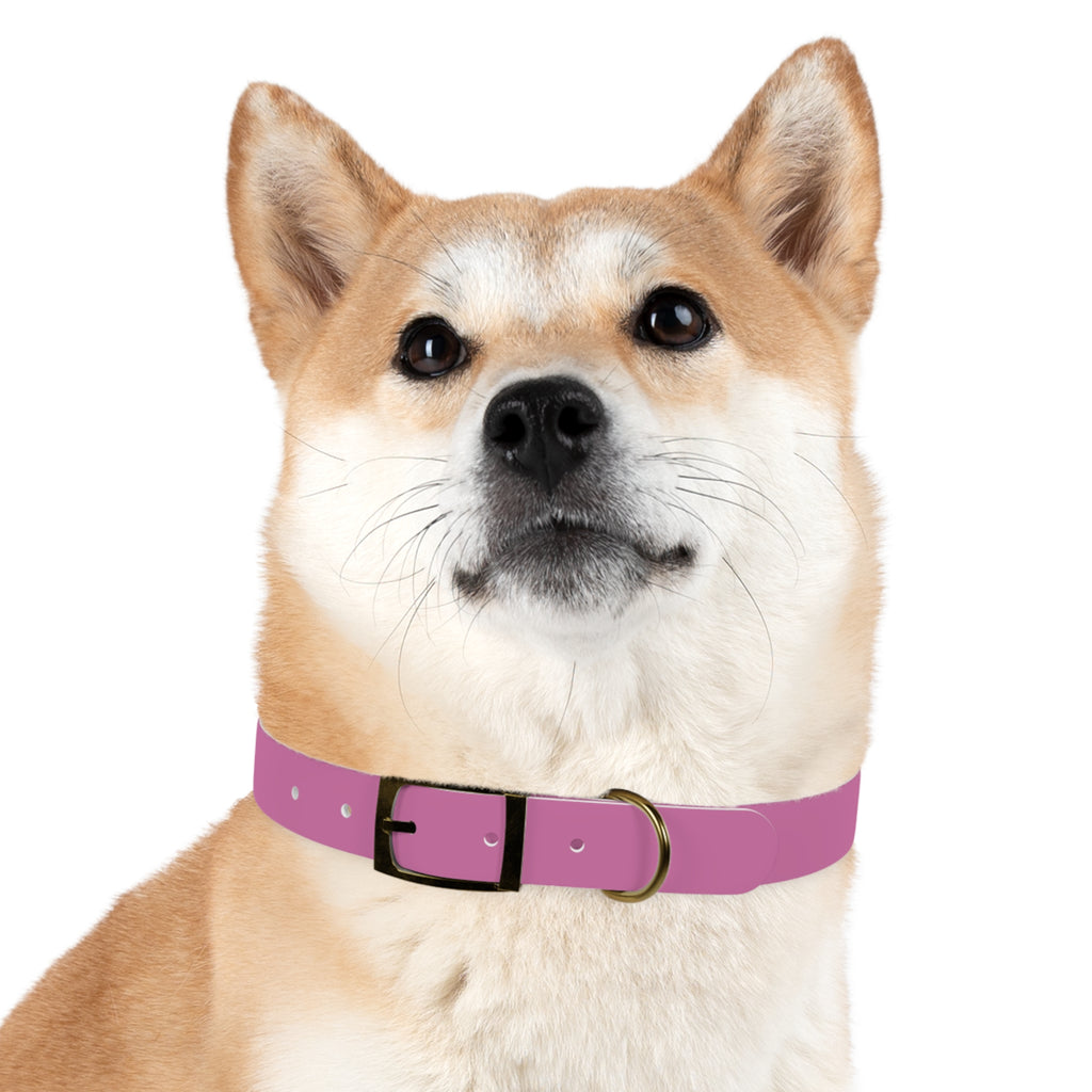 Durable Waterproof Dog Collar | Pink