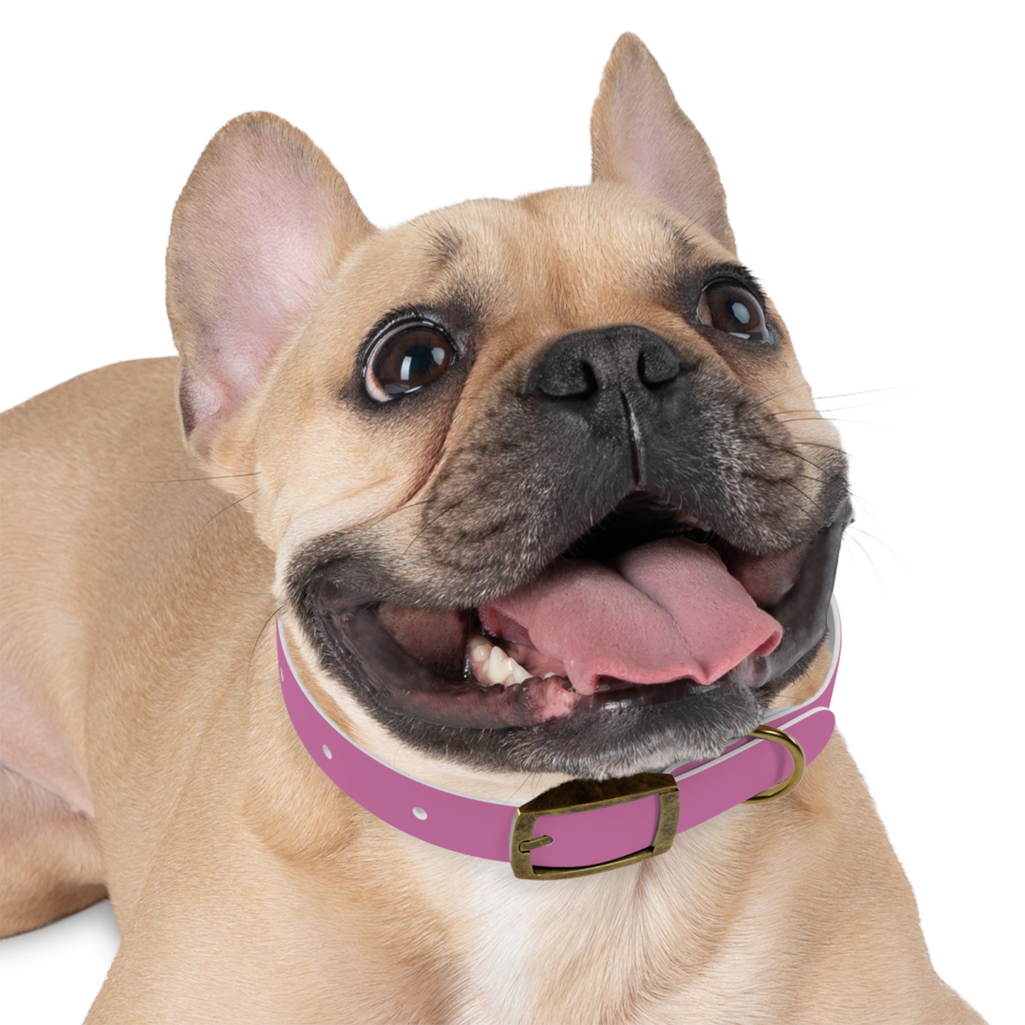 Durable Waterproof Dog Collar | Pink