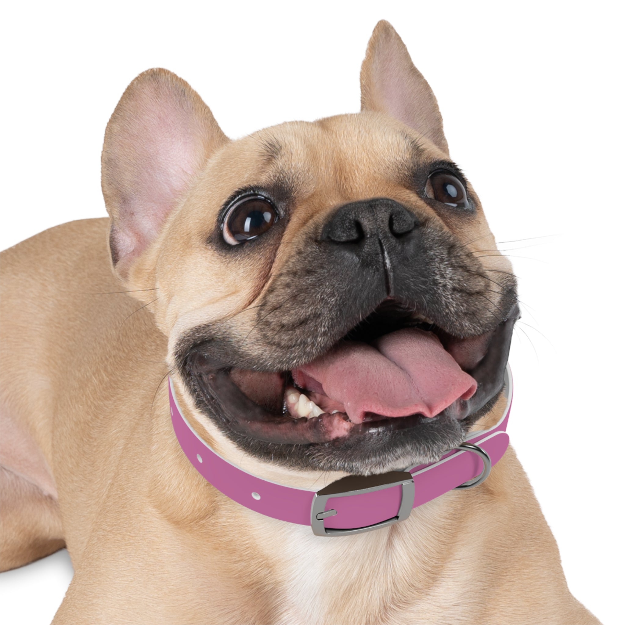 Durable Waterproof Dog Collar | Pink