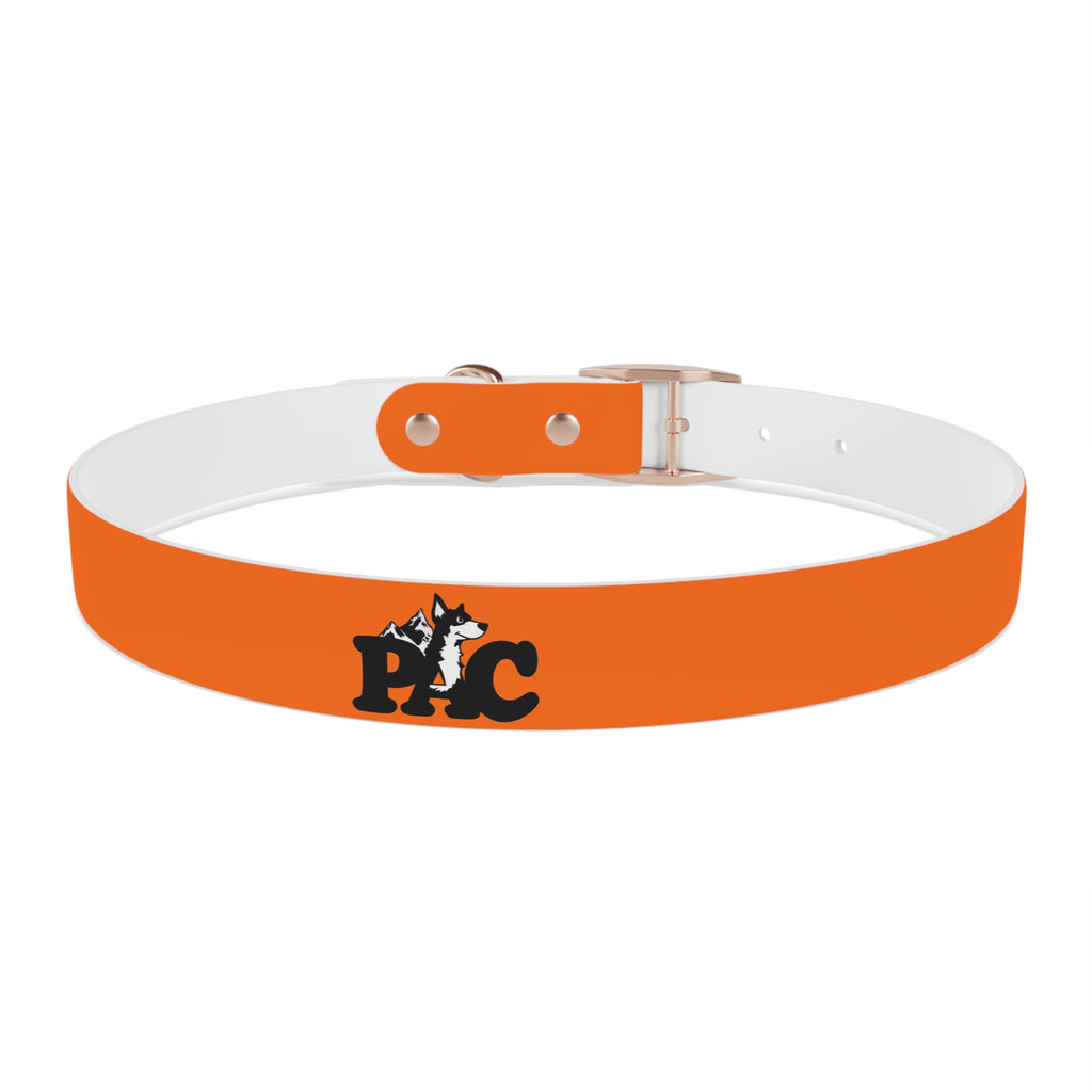 Durable Waterproof Dog Collar | Orange