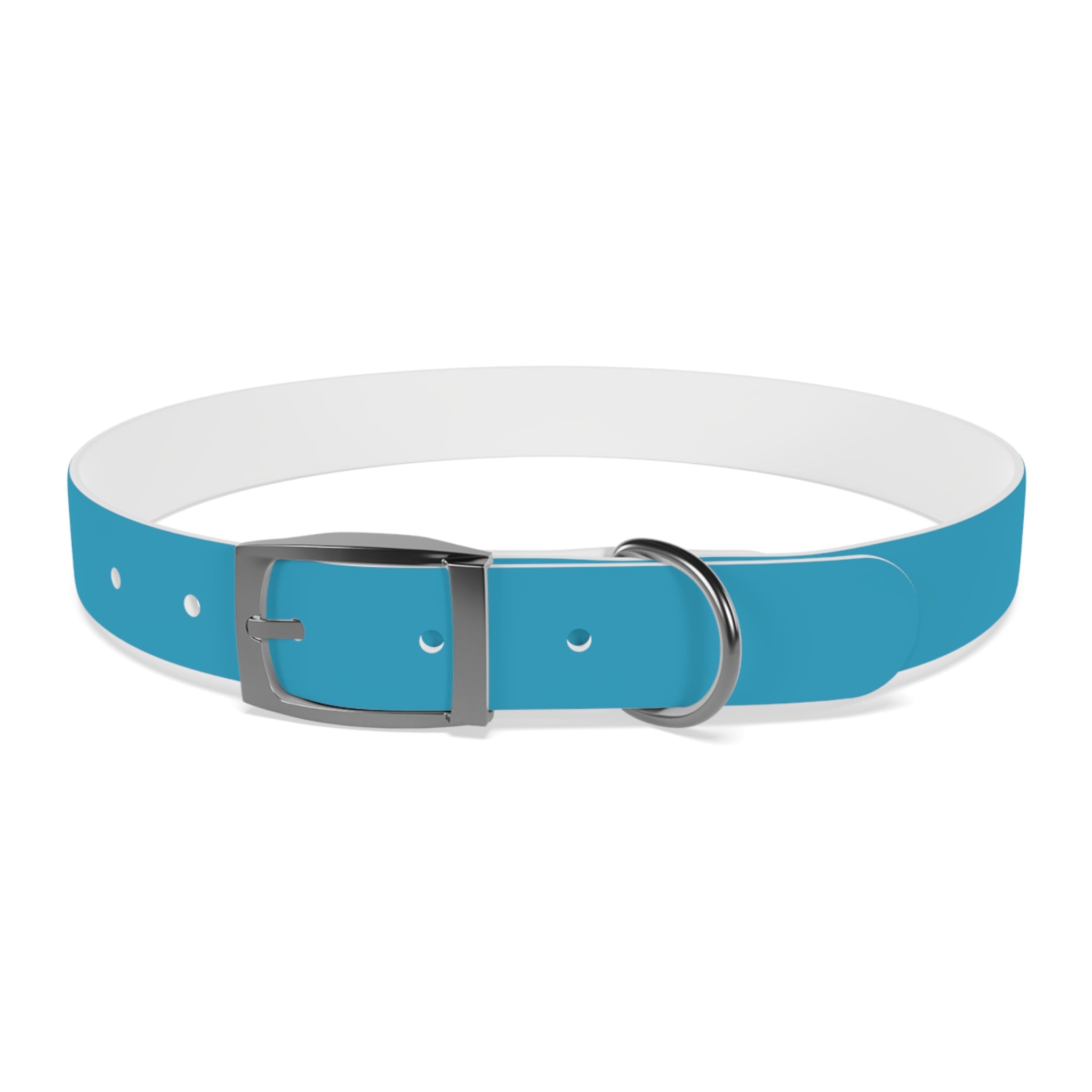 Durable Waterproof Dog Collar | Turquoise