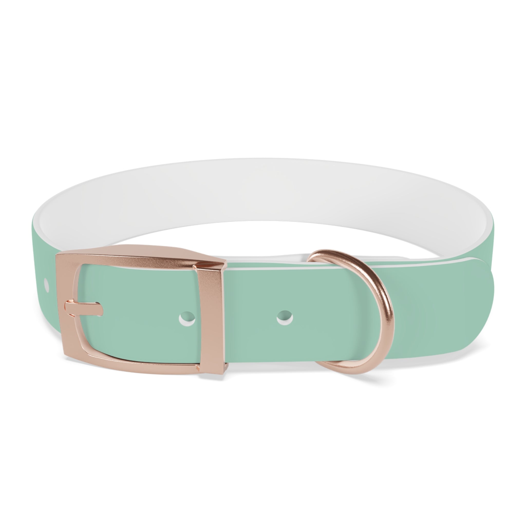 Durable Waterproof Dog Collar | Mint