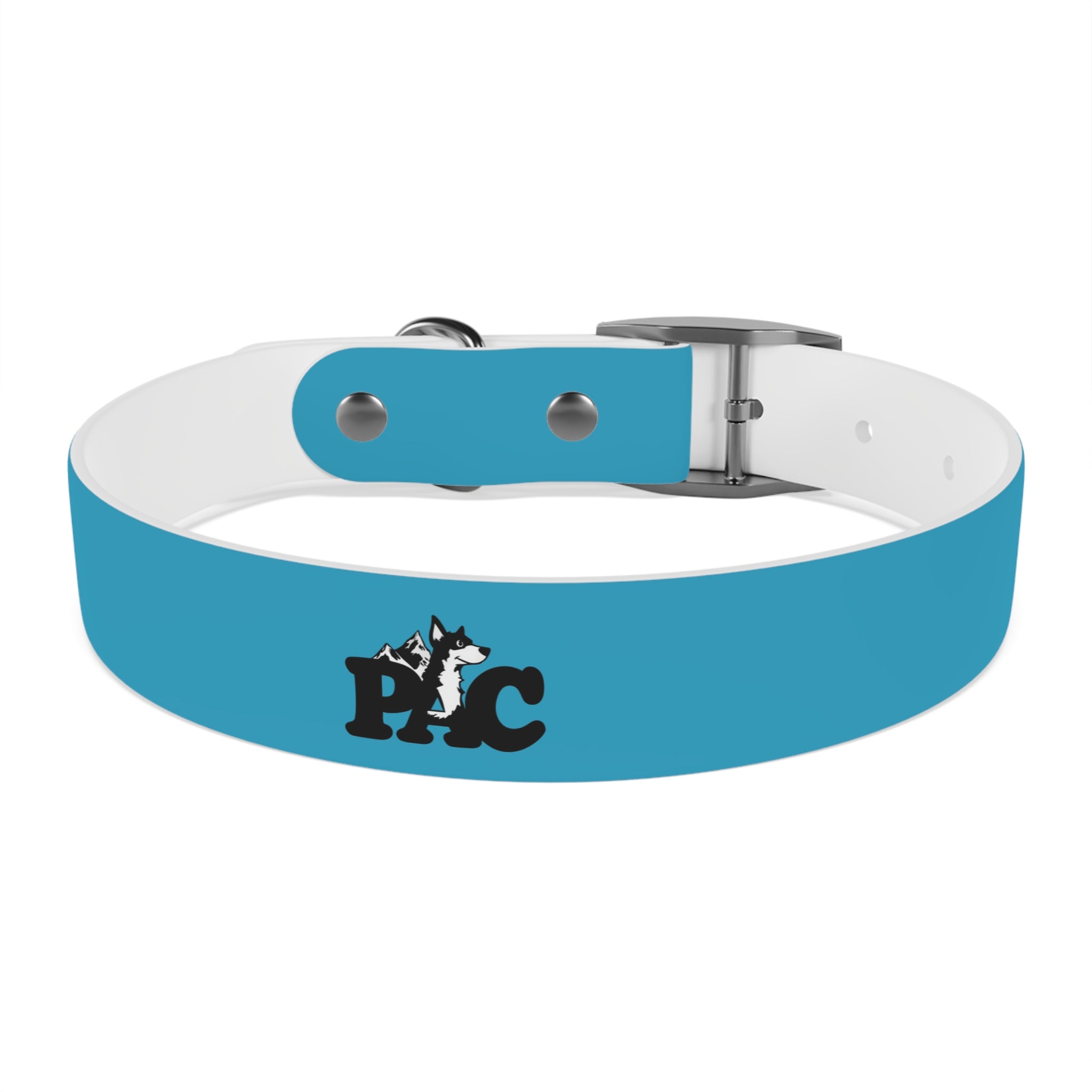 Durable Waterproof Dog Collar | Turquoise