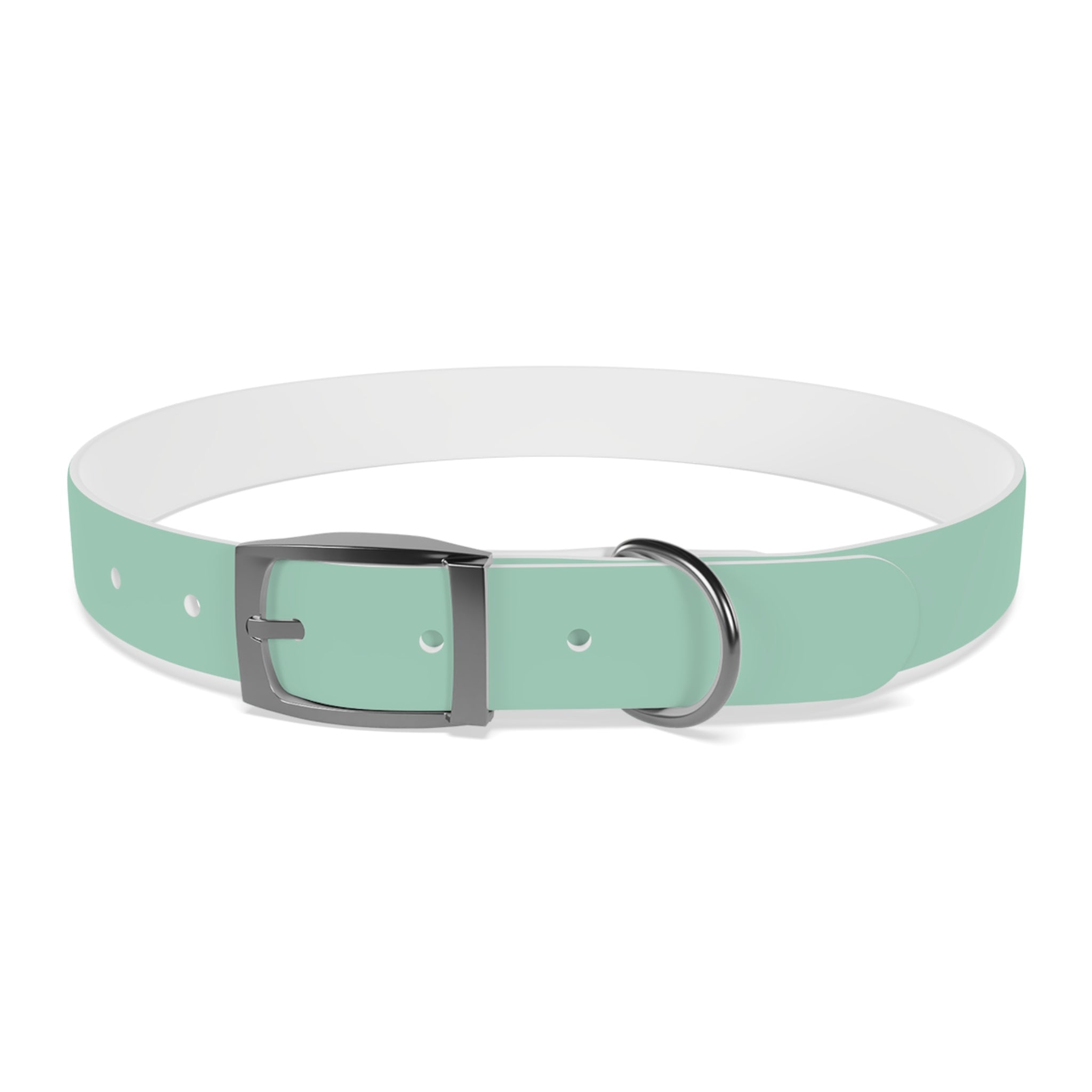 Durable Waterproof Dog Collar | Mint