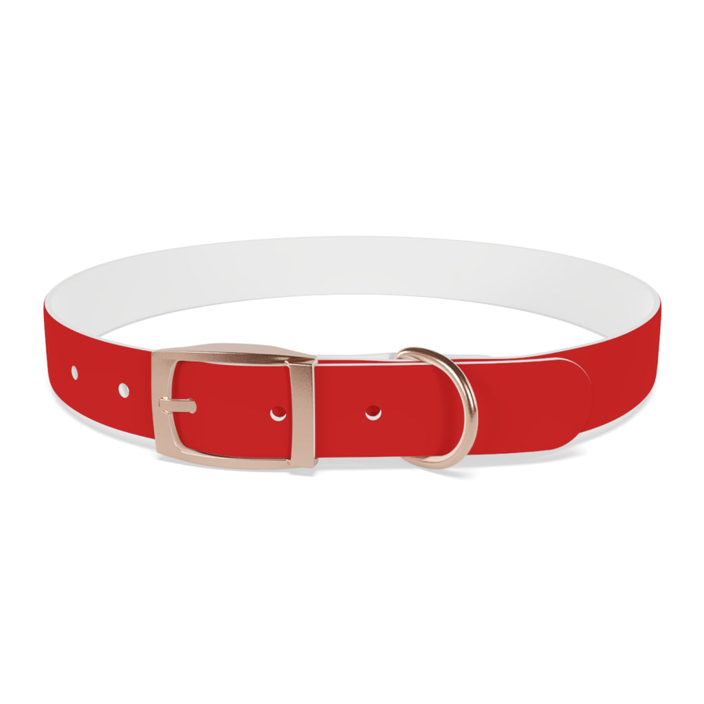 Durable Waterproof Dog Collar | Red
