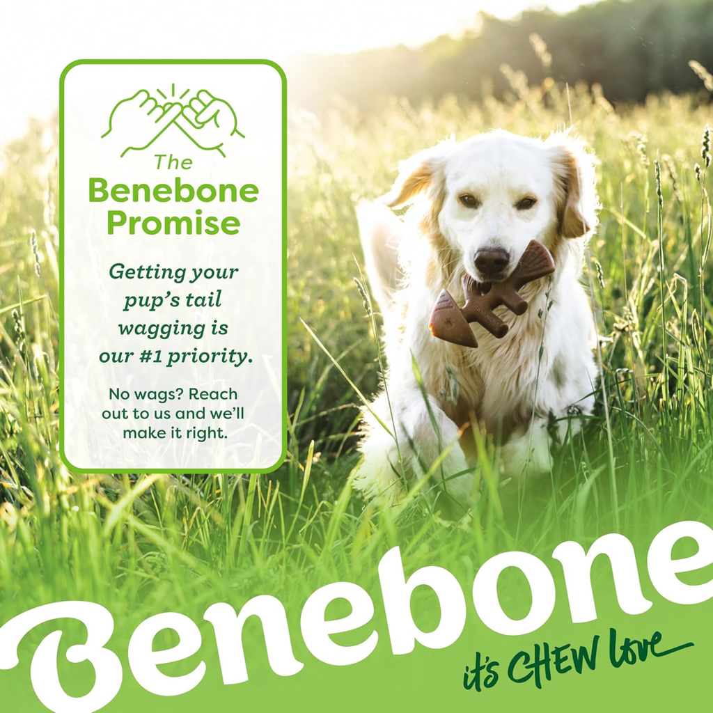 4-Pack of Benebones | Dog Chew Toys