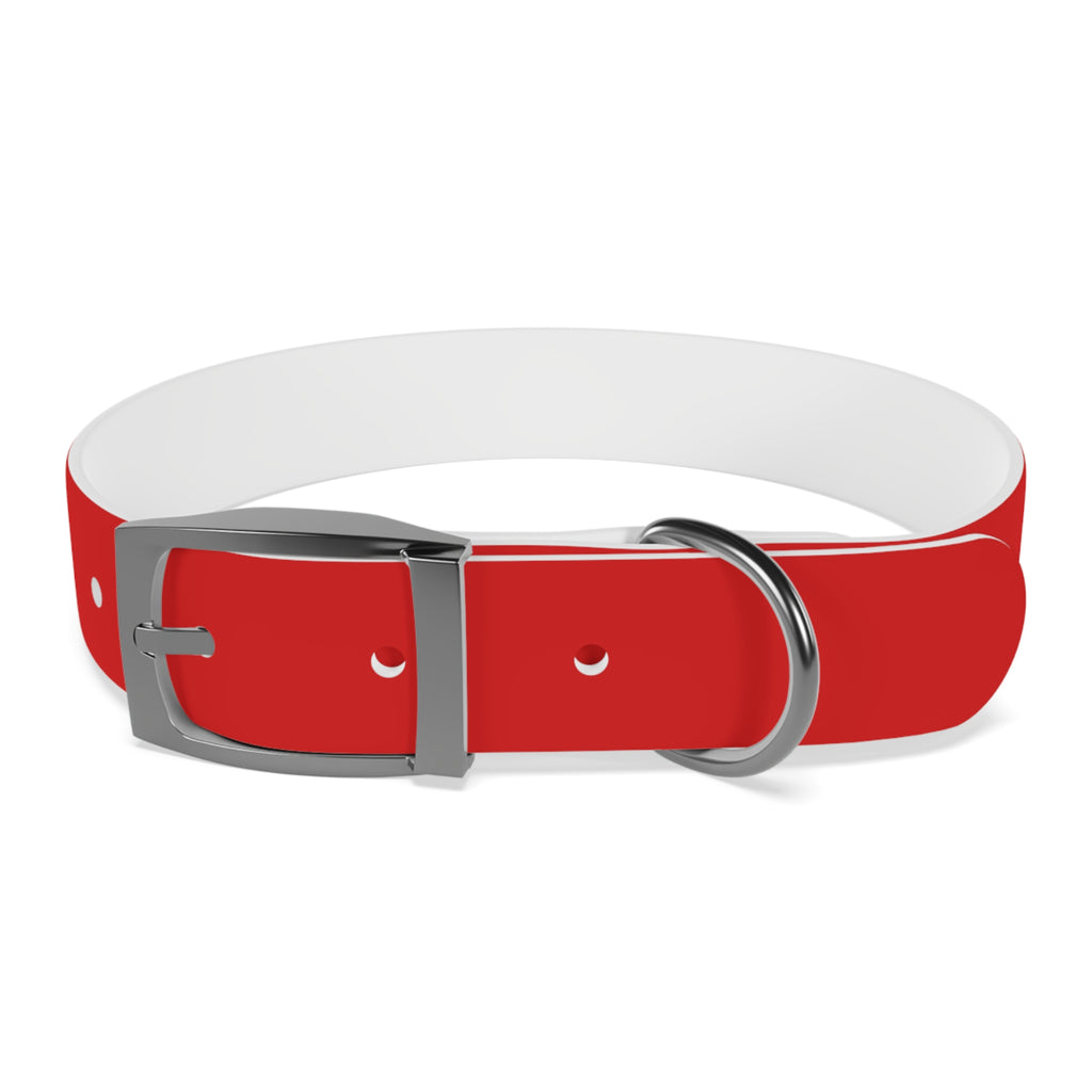 Durable Waterproof Dog Collar | Red