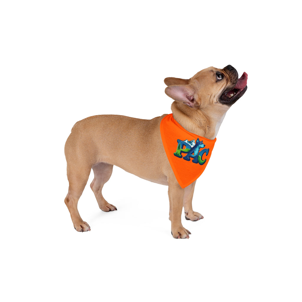 Puppy Adventure Center | Dog Bandana | Orange
