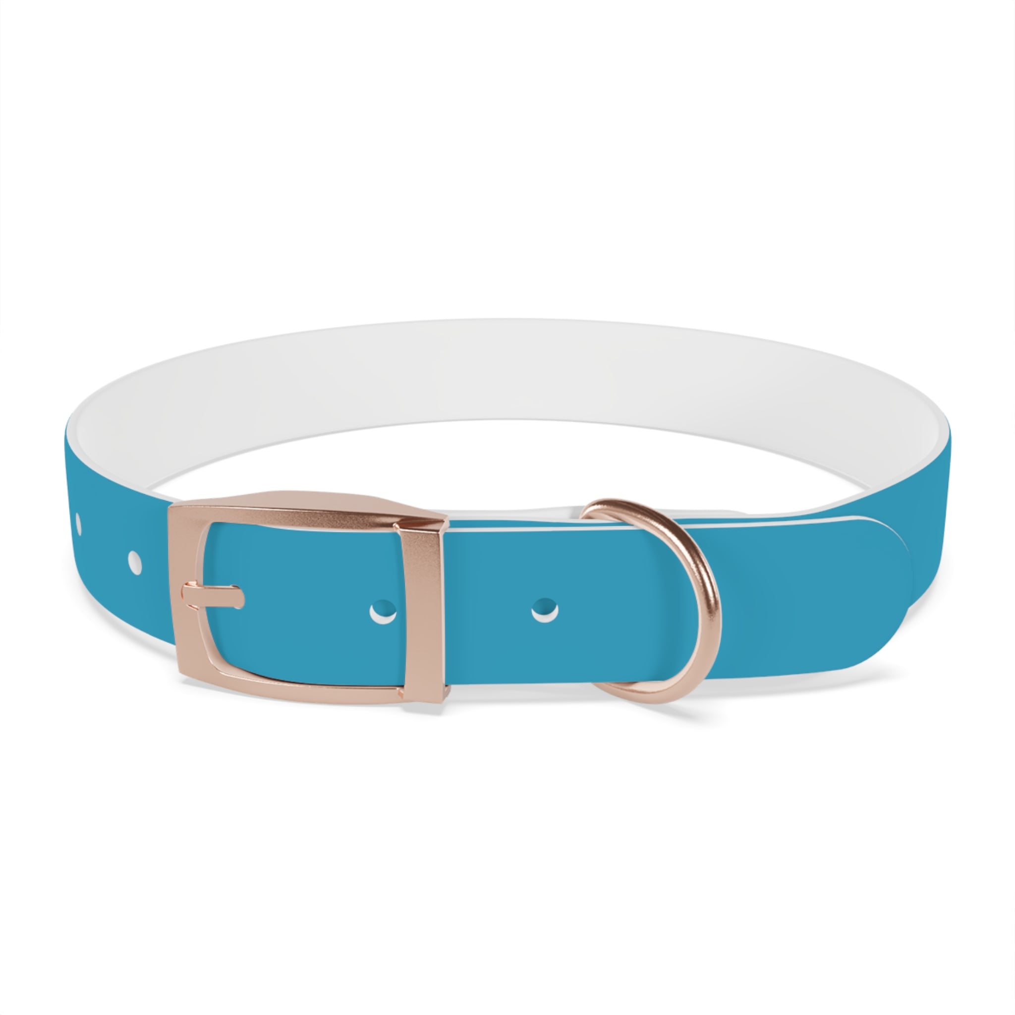 Durable Waterproof Dog Collar | Turquoise