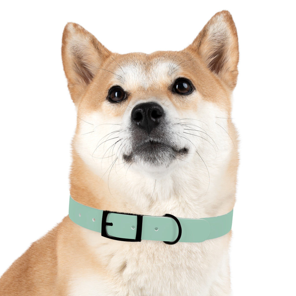 Durable Waterproof Dog Collar | Mint