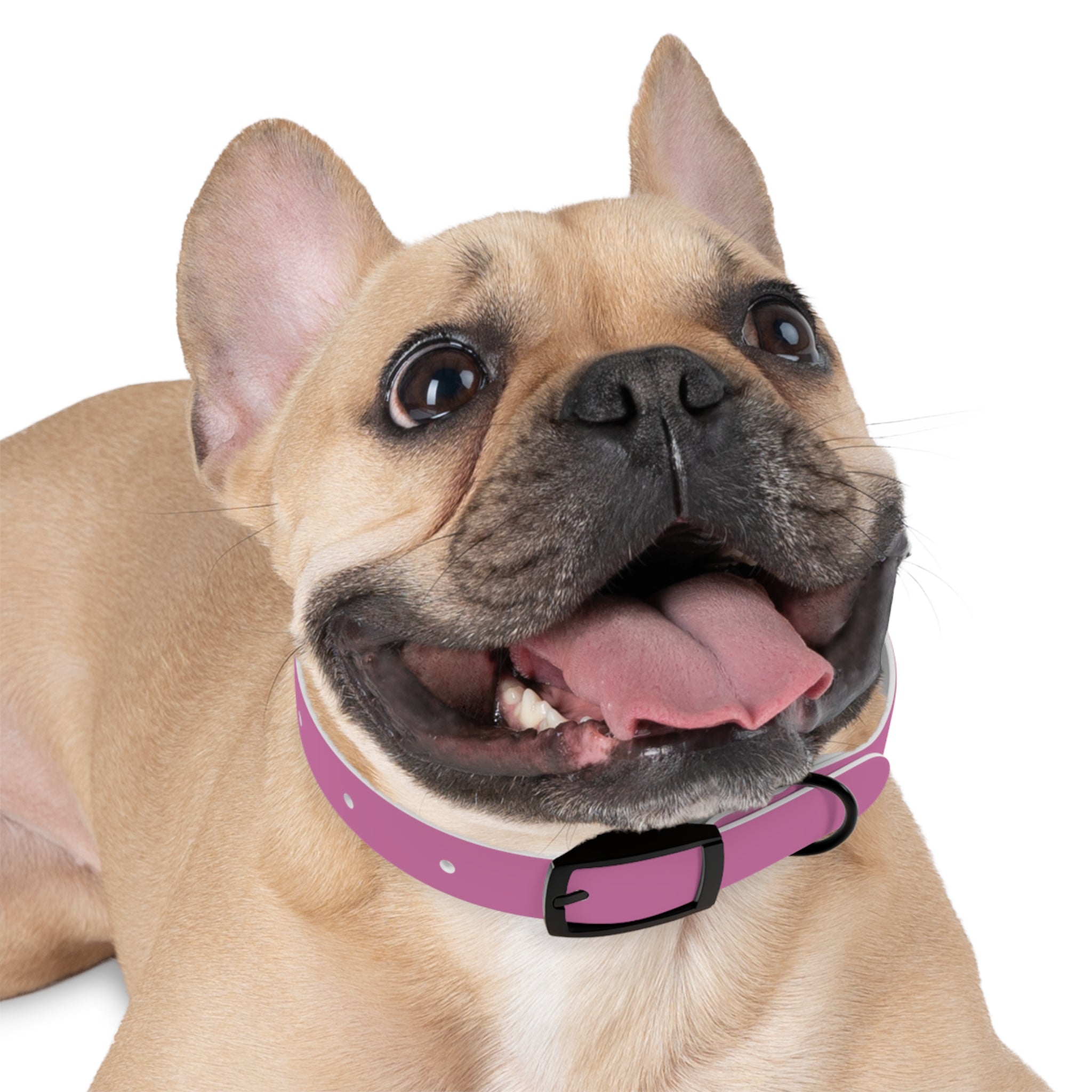Durable Waterproof Dog Collar | Pink