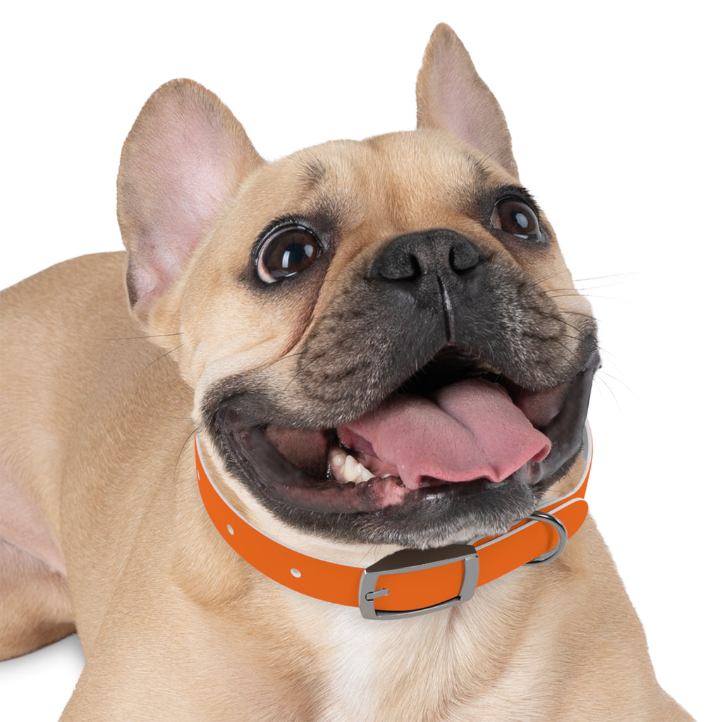 Durable Waterproof Dog Collar | Orange
