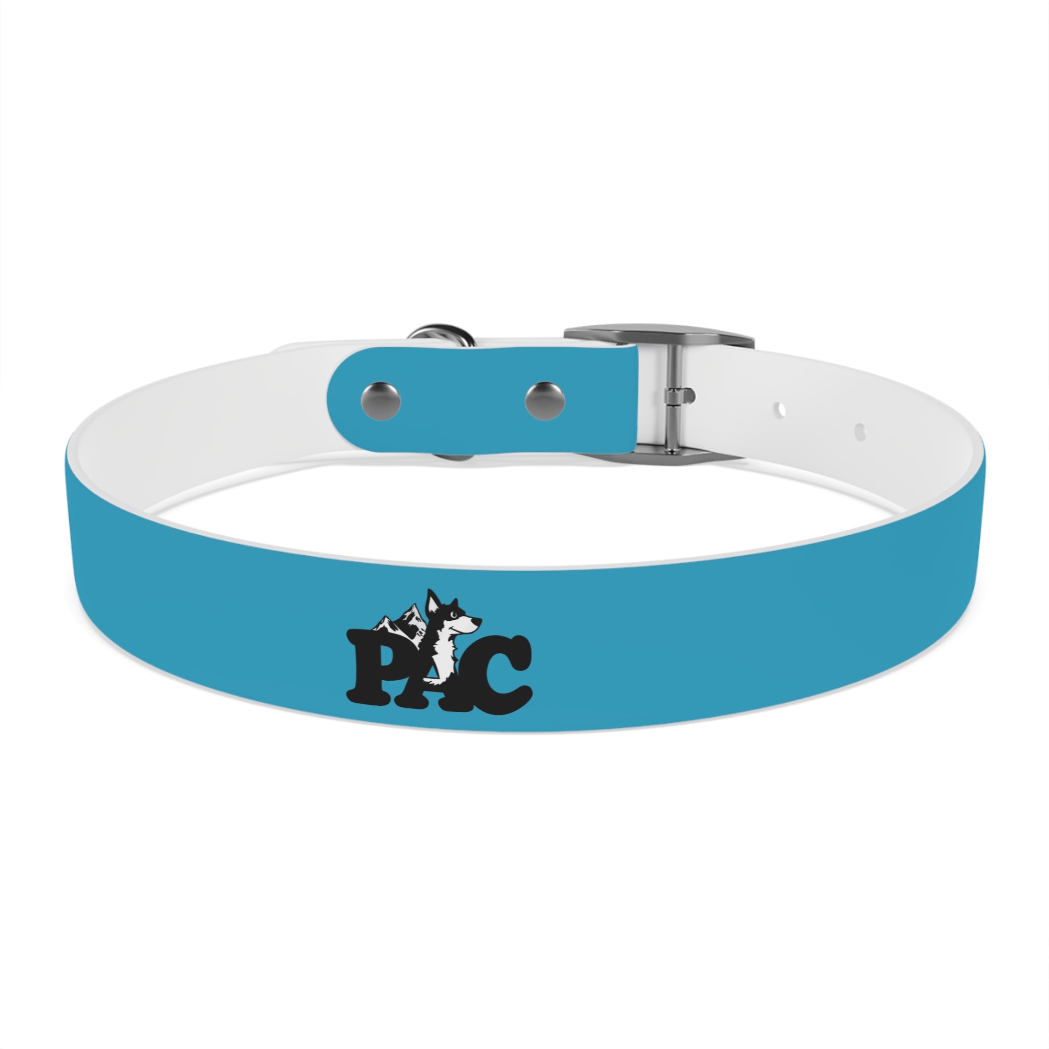 Durable Waterproof Dog Collar | Turquoise