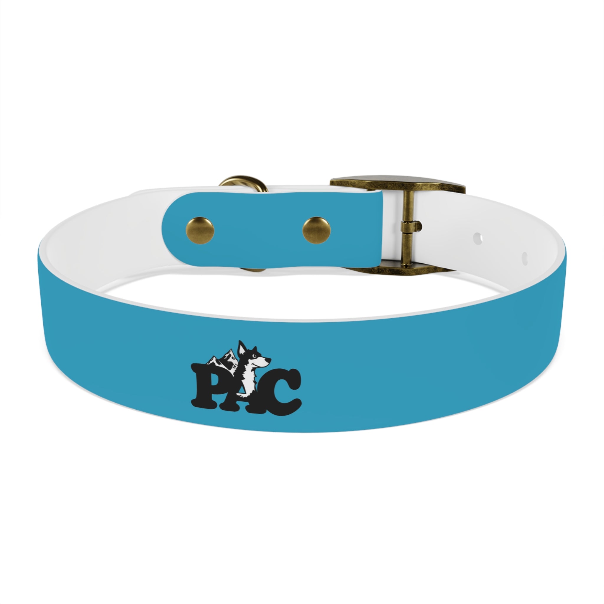 Durable Waterproof Dog Collar | Turquoise