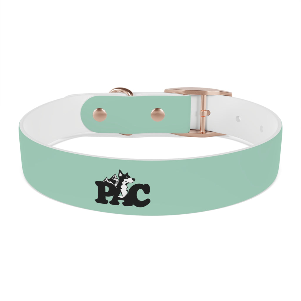 Durable Waterproof Dog Collar | Mint