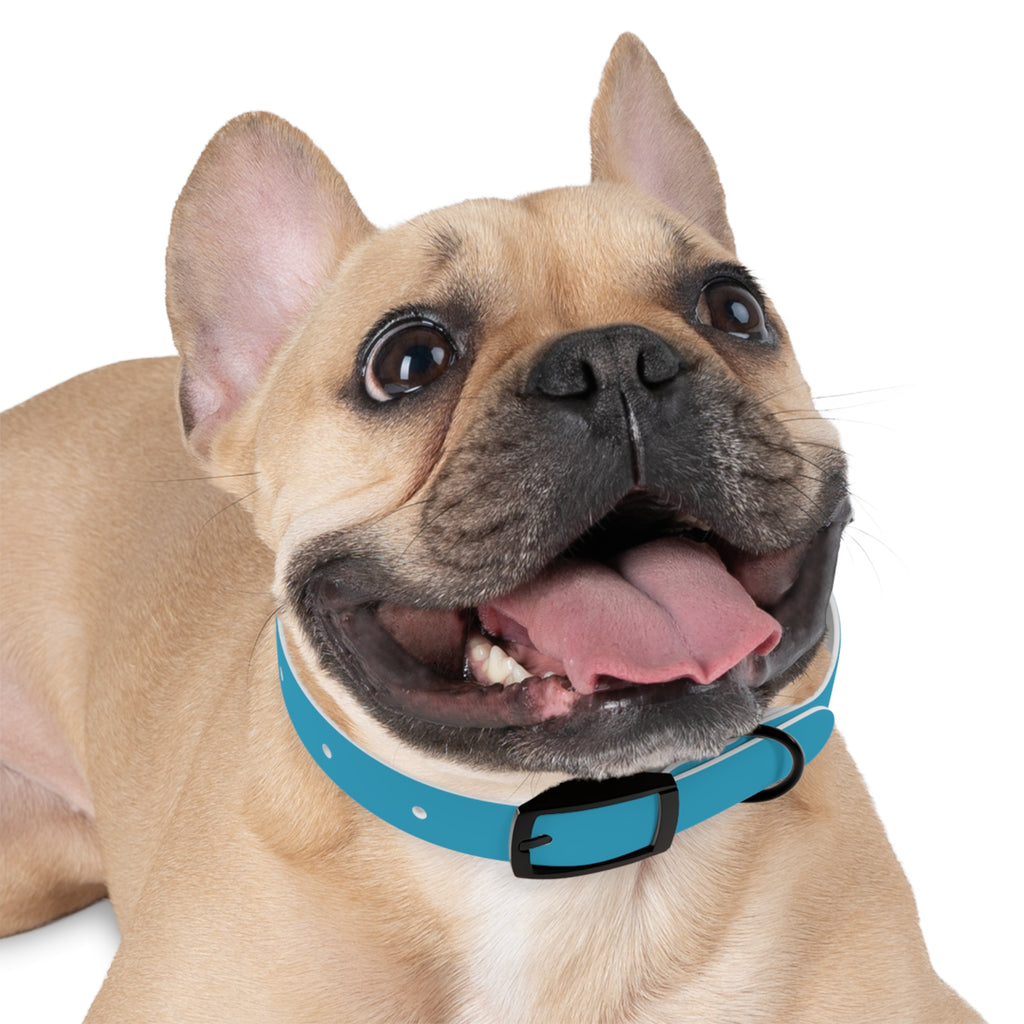 Durable Waterproof Dog Collar | Turquoise