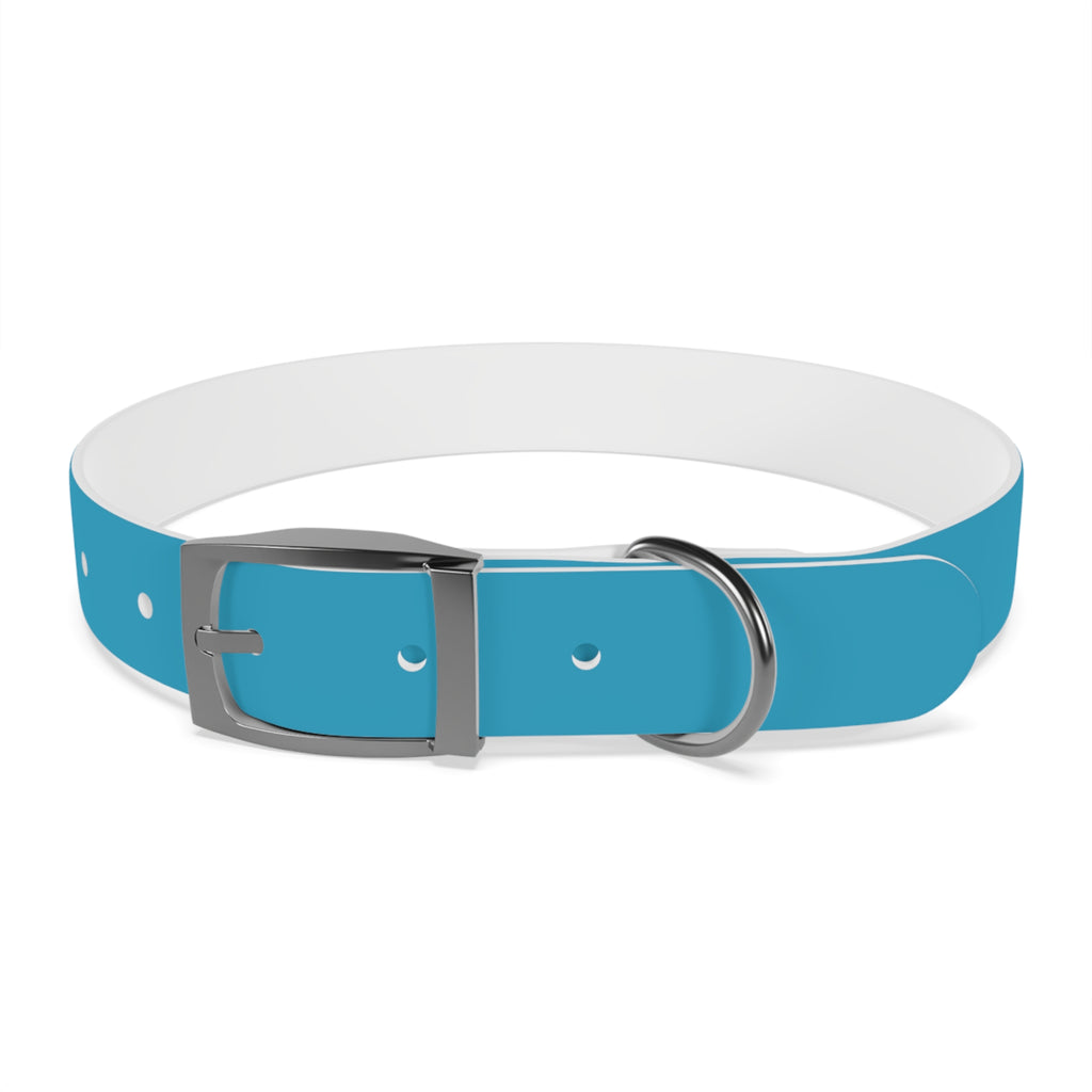 Durable Waterproof Dog Collar | Turquoise