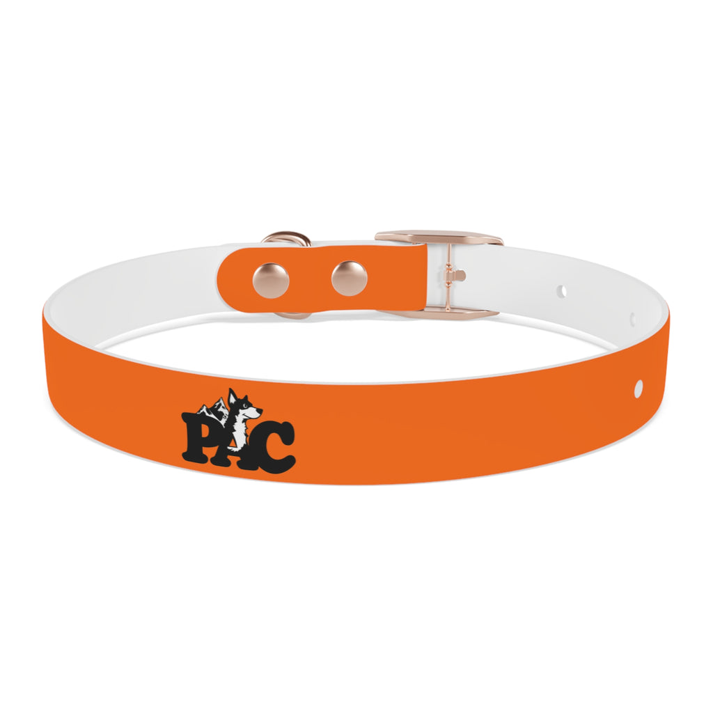 Durable Waterproof Dog Collar | Orange