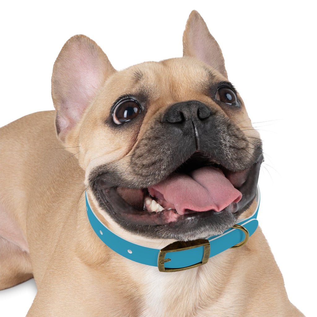 Durable Waterproof Dog Collar | Turquoise
