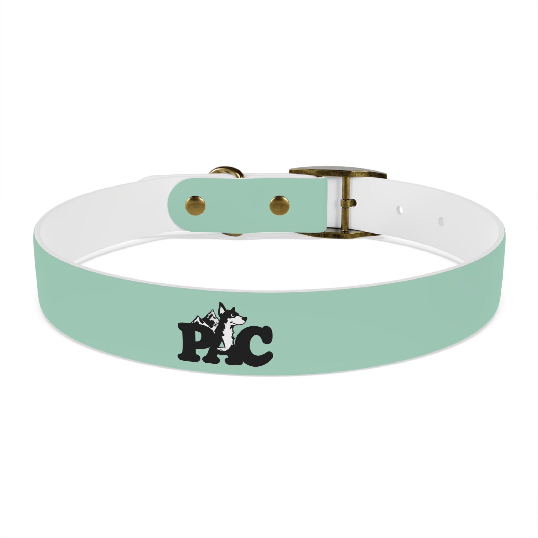 Durable Waterproof Dog Collar | Mint
