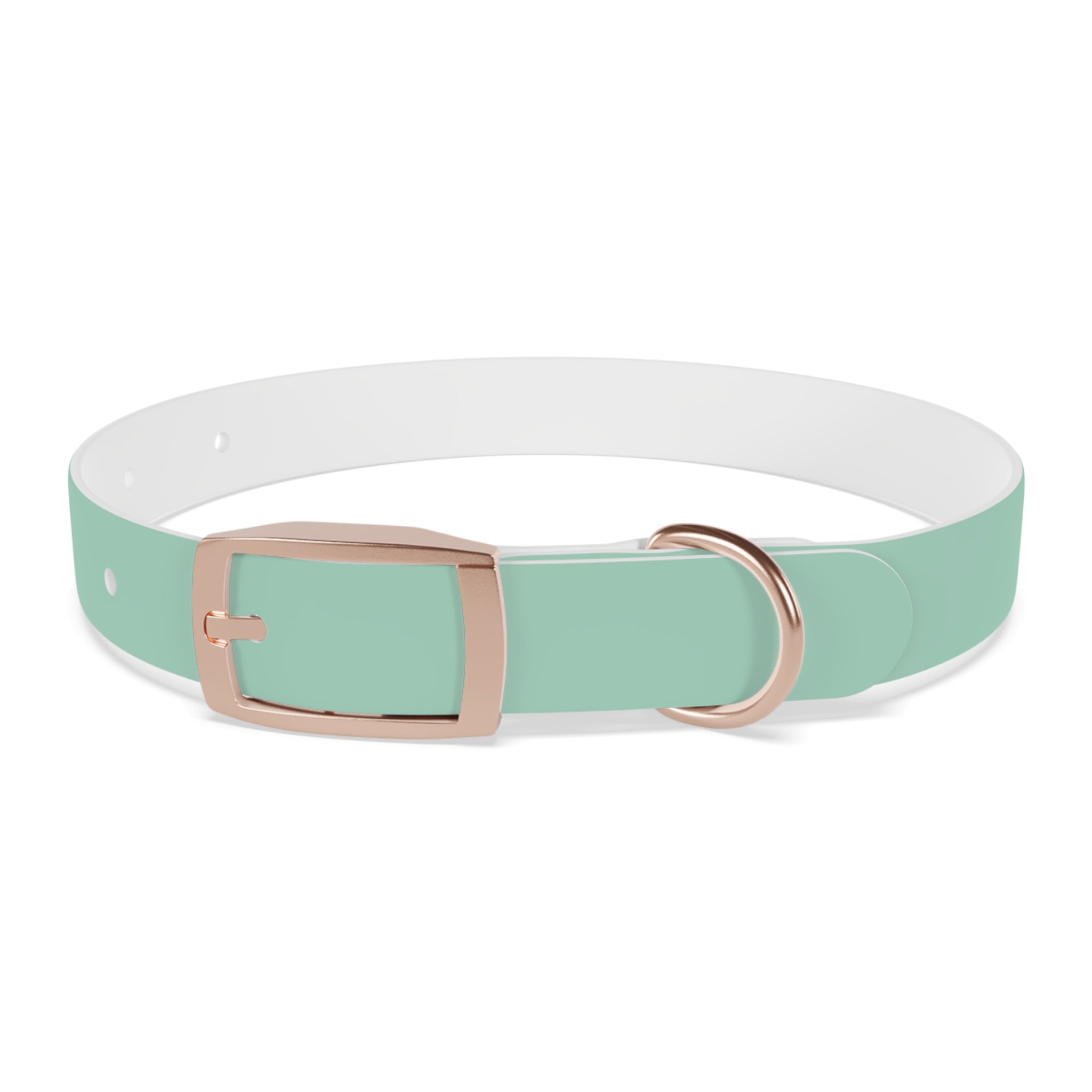 Durable Waterproof Dog Collar | Mint