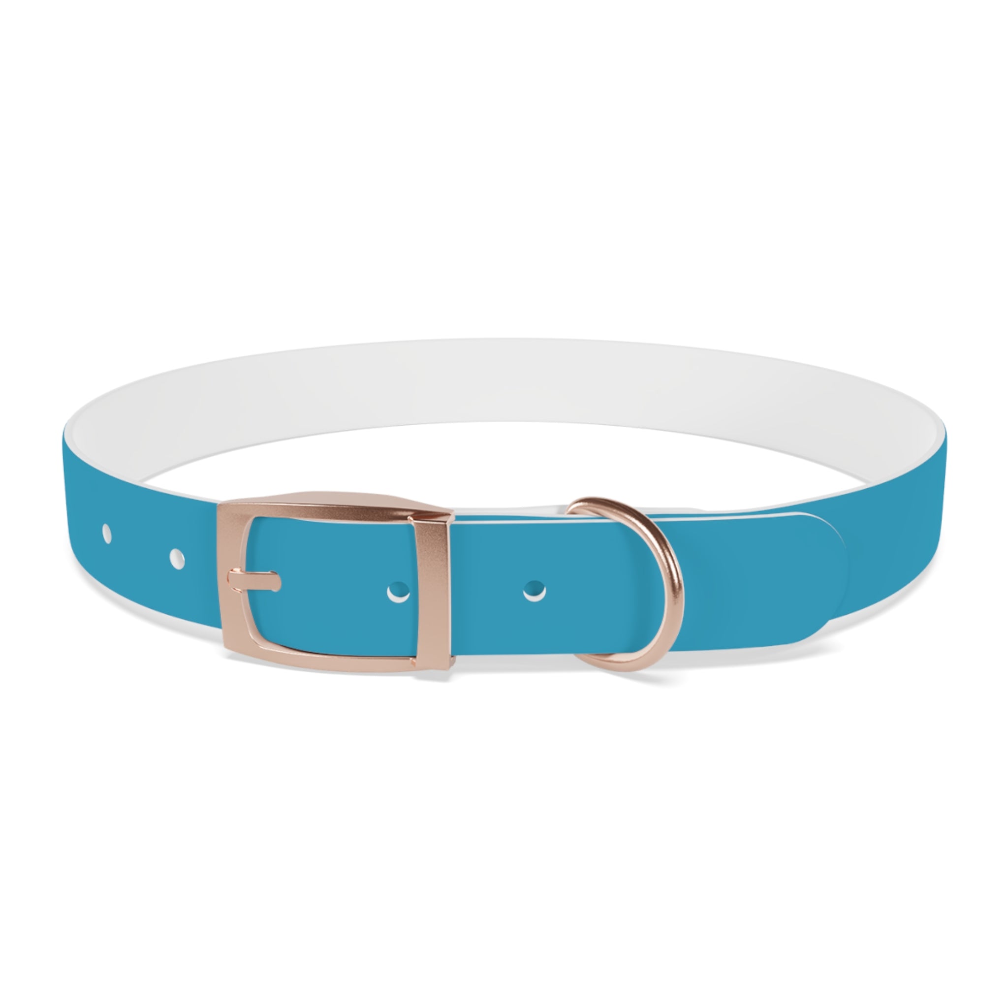 Durable Waterproof Dog Collar | Turquoise