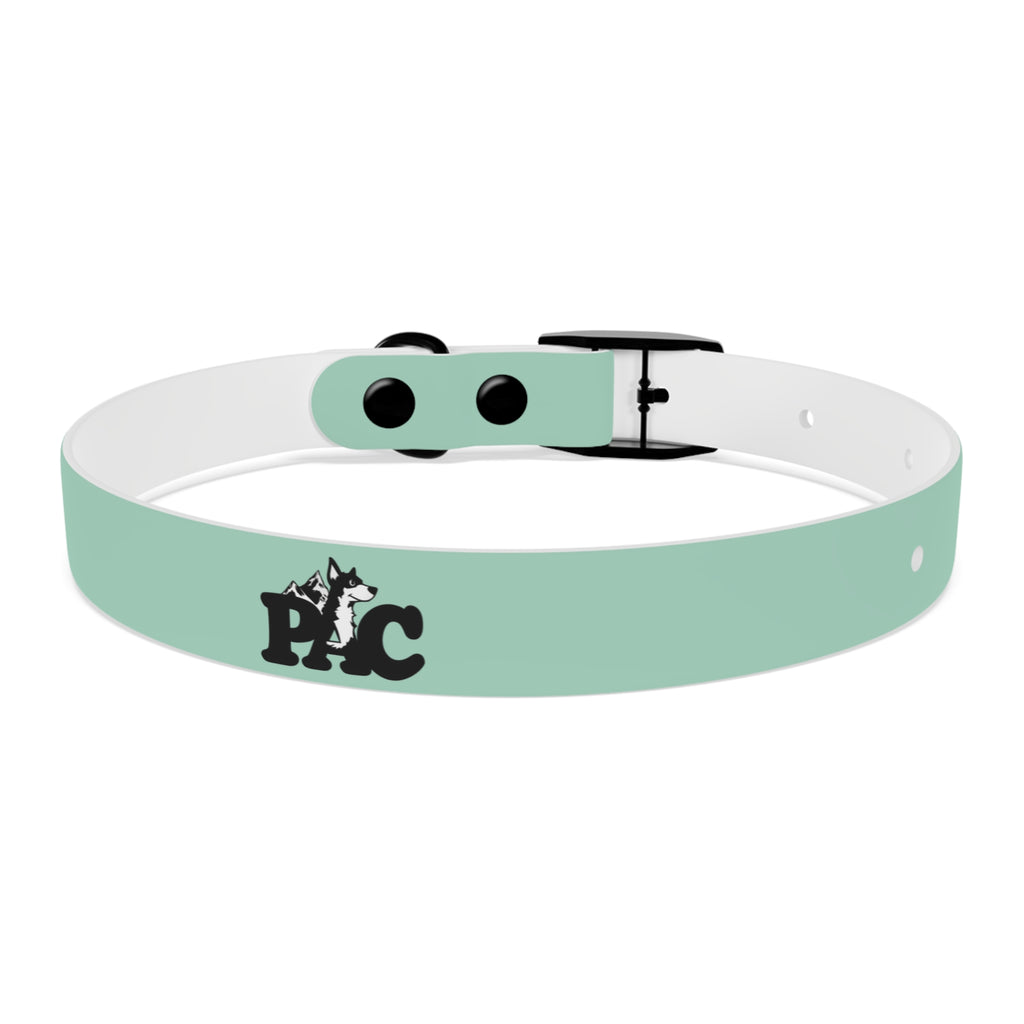 Durable Waterproof Dog Collar | Mint