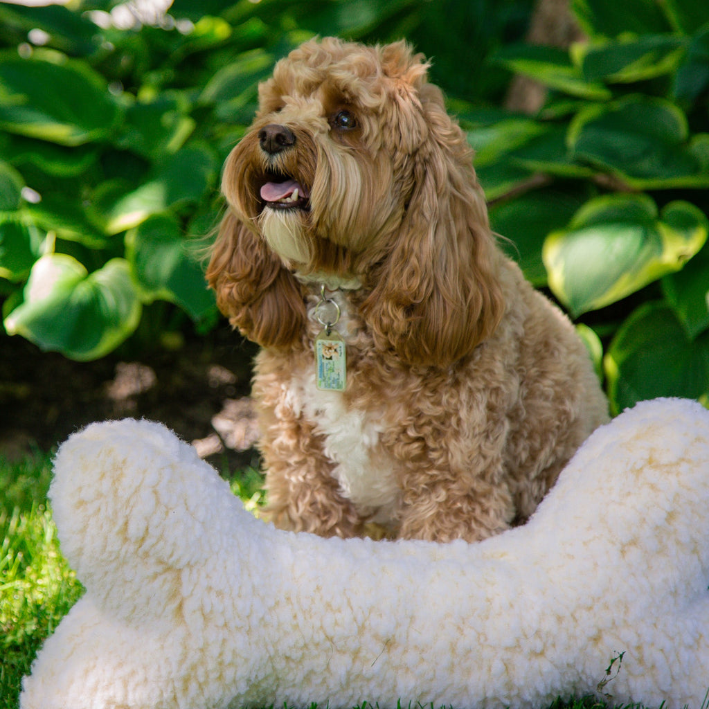 HuggleFleece® 2 foot Plush Bone Dog Toy