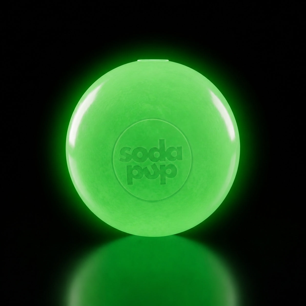 Floating Squeak Ball - Dog Toy
