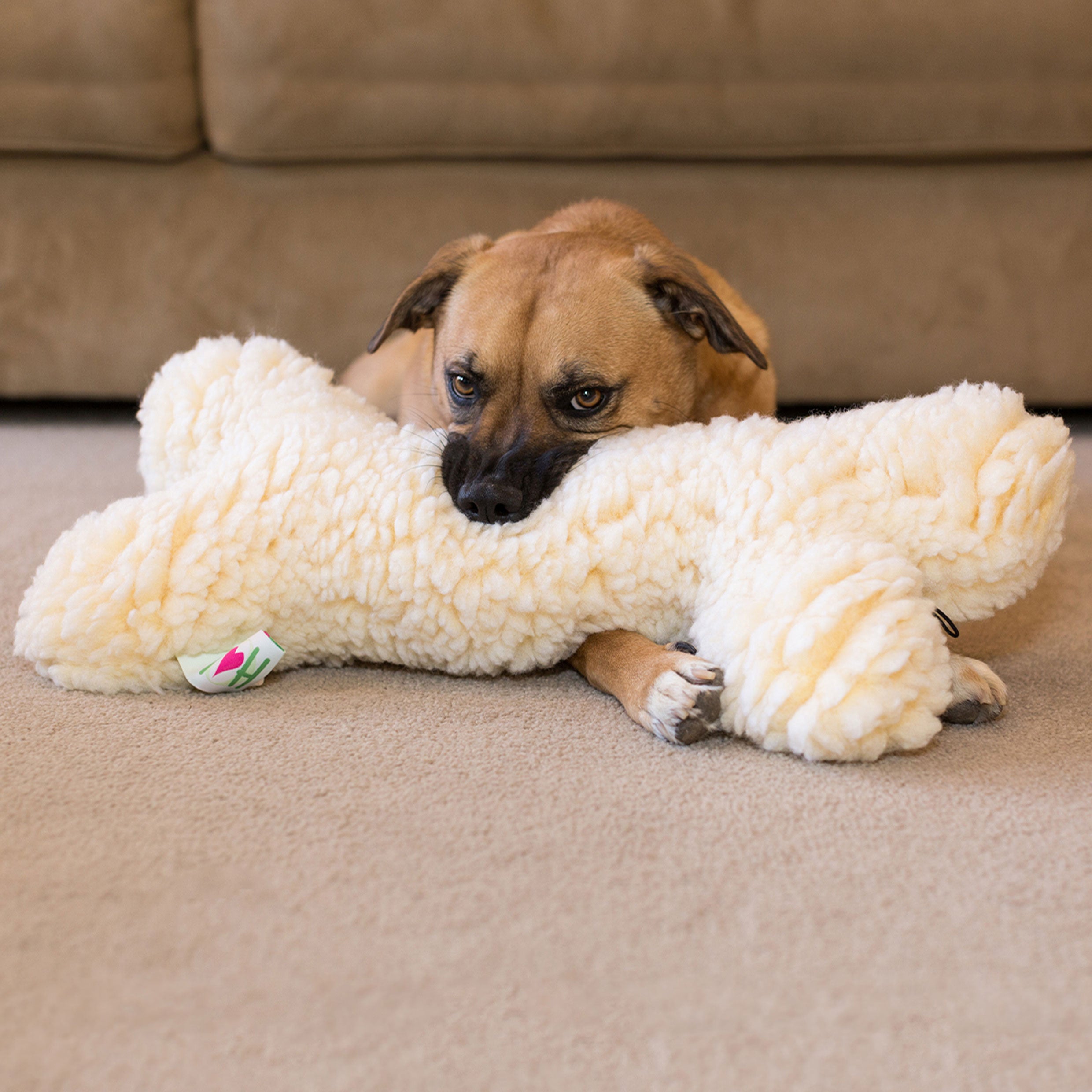 HuggleFleece® 2 foot Plush Bone Dog Toy