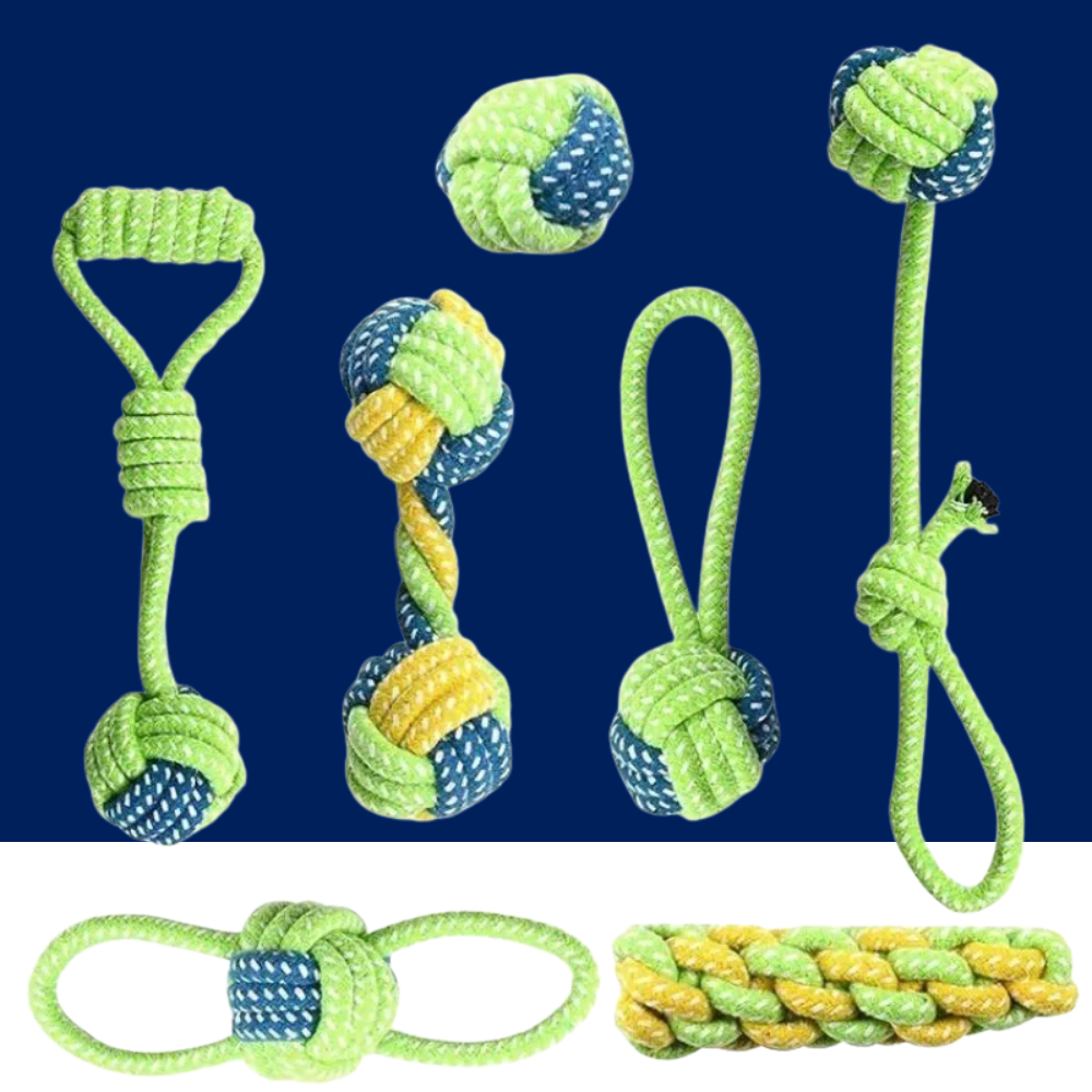Interactive Cotton Rope Dog Toys