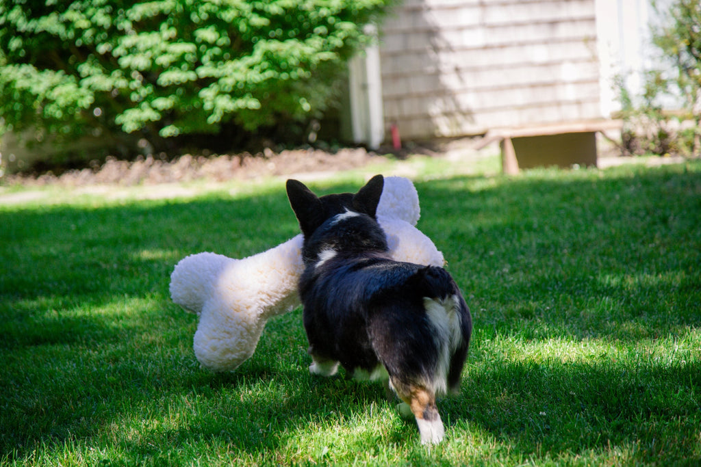 HuggleFleece® 2 foot Plush Bone Dog Toy