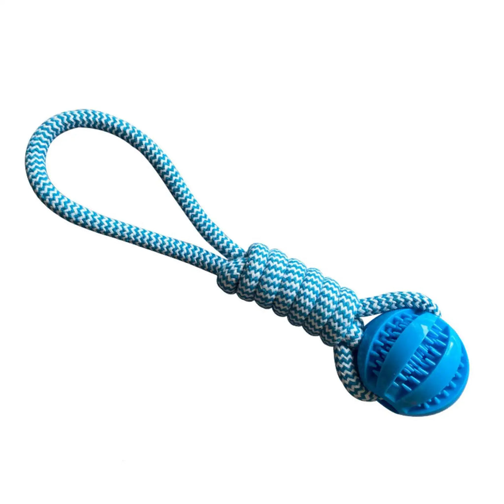 Interactive Dog Toy Balls – Treat Dispensing