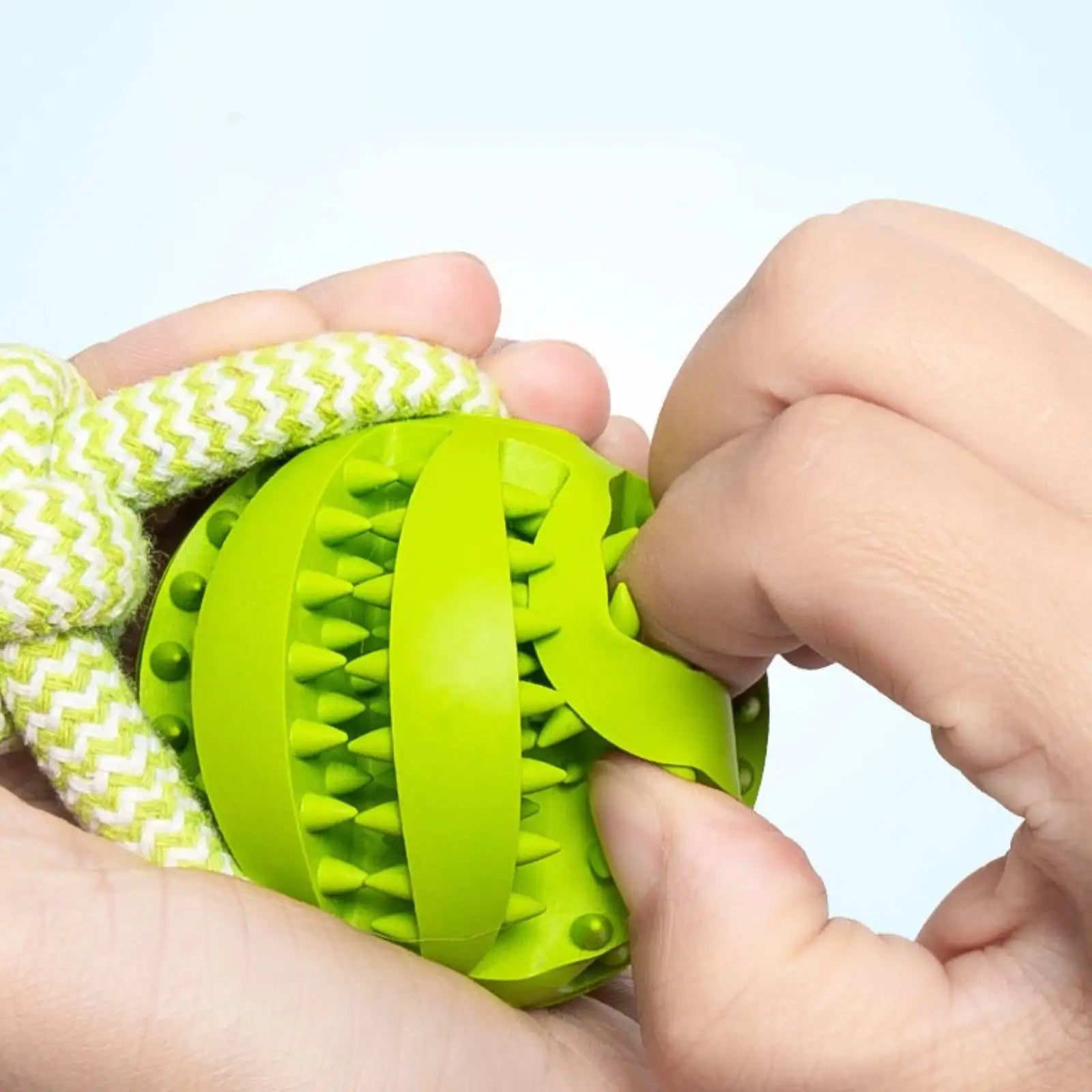 Interactive Dog Toy Balls – Treat Dispensing
