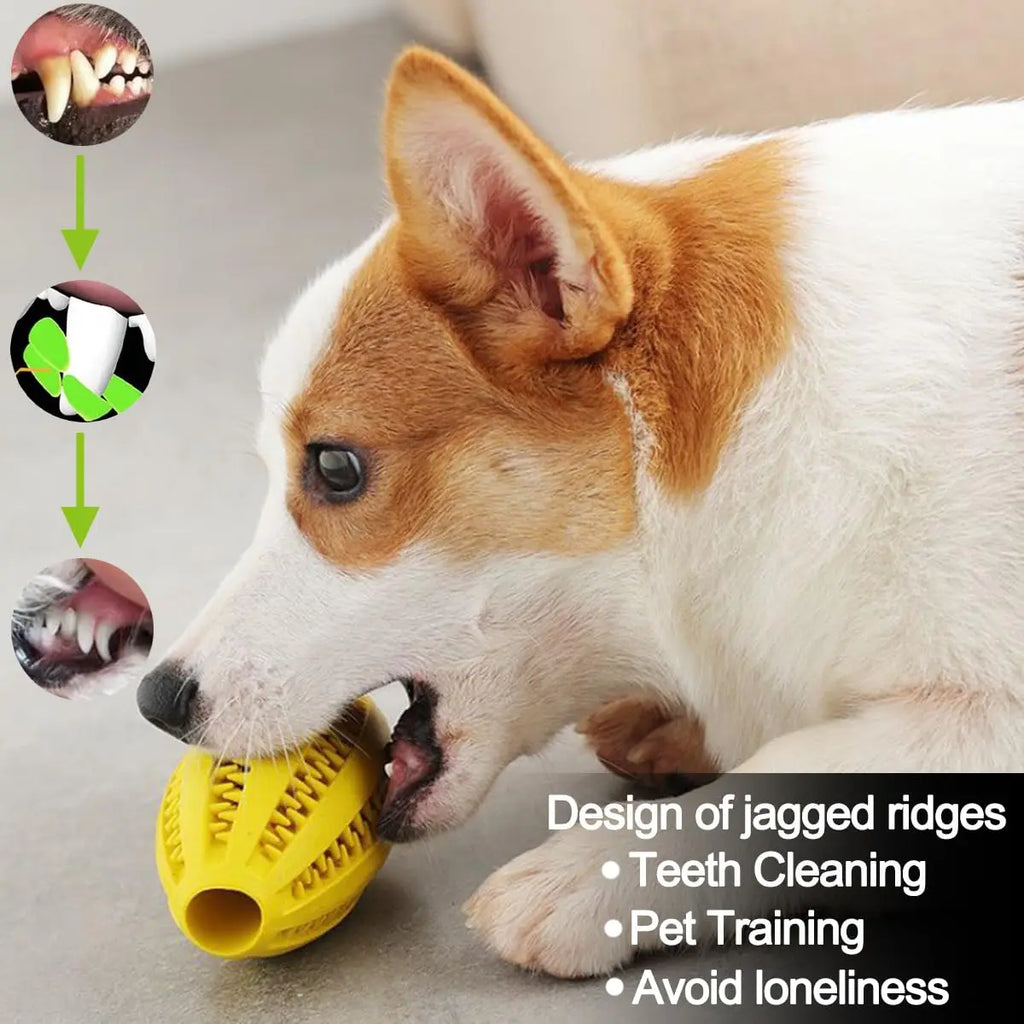 Dog Chew Toys Teeth Cleaning Snack Ball