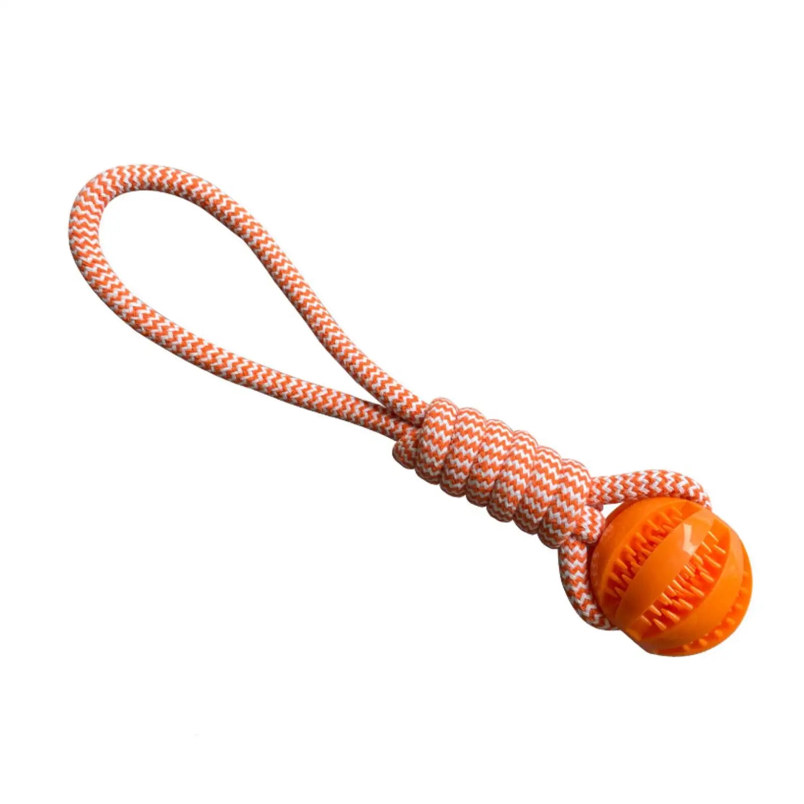 Interactive Dog Toy Balls – Treat Dispensing