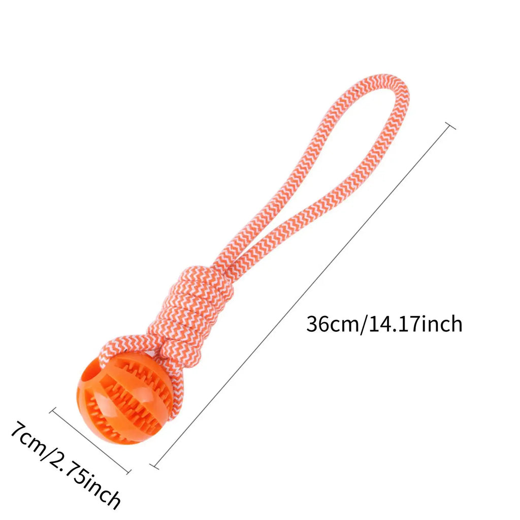 Interactive Dog Toy Balls – Treat Dispensing
