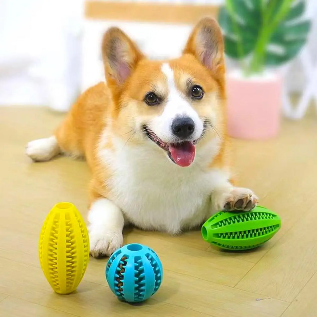 Dog Chew Toys Teeth Cleaning Snack Ball