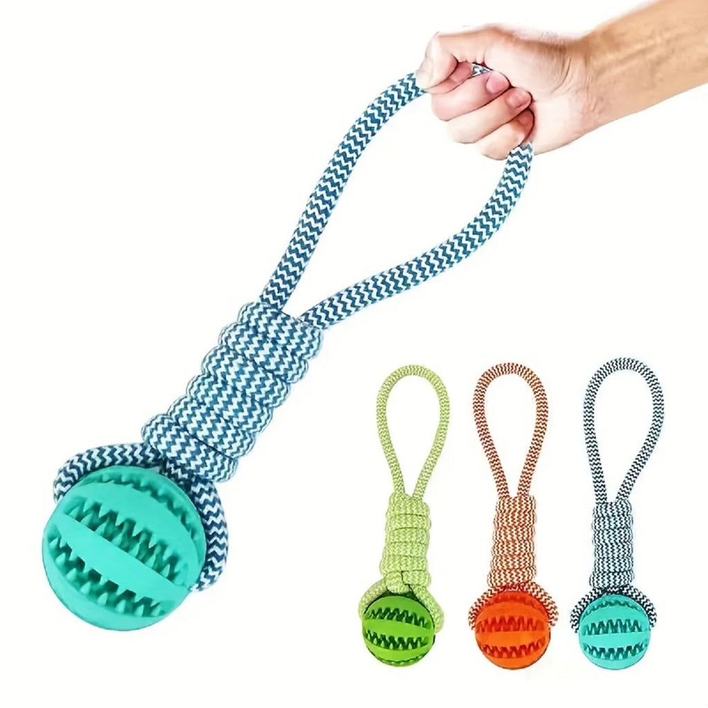 Interactive Dog Toy Balls – Treat Dispensing