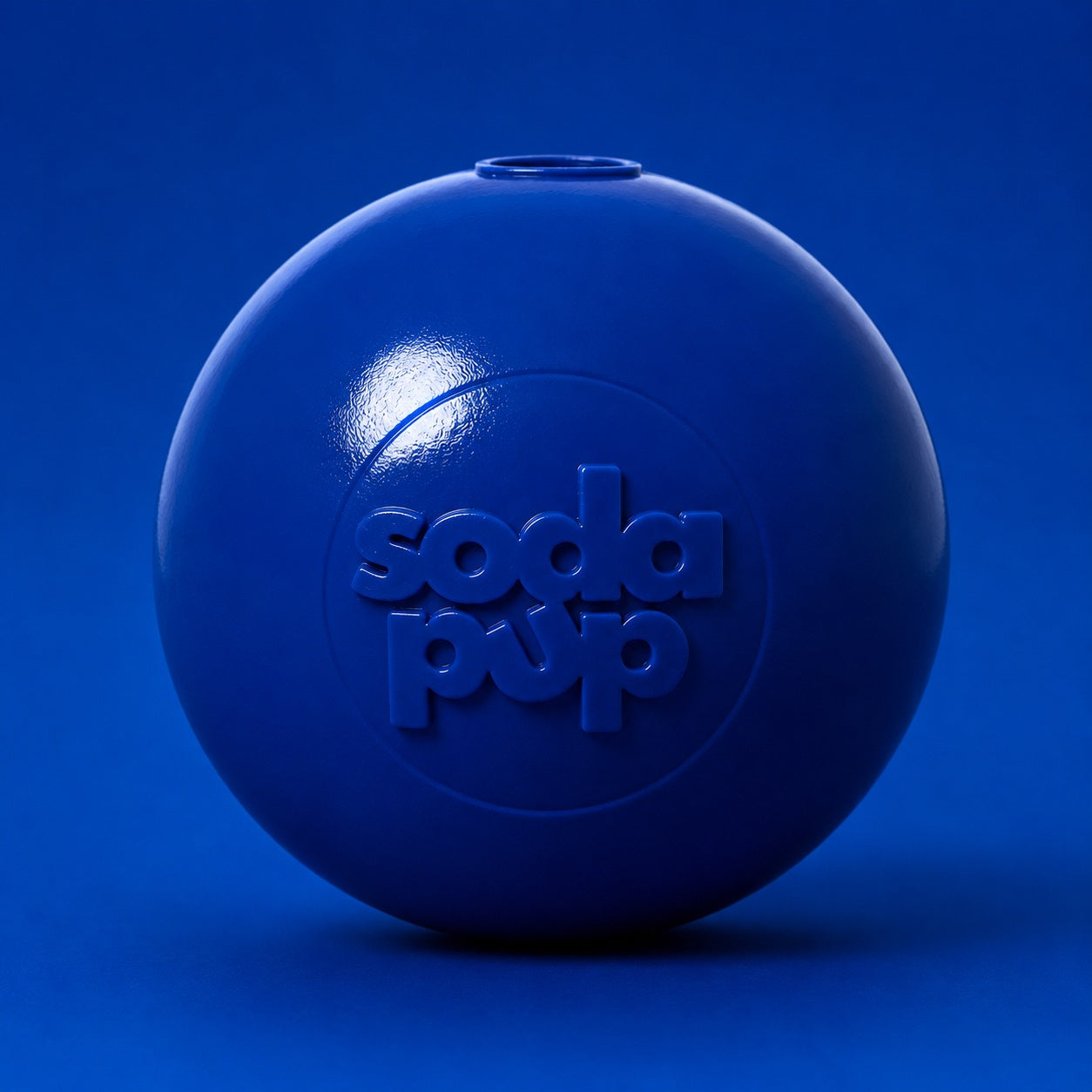 Floating Squeak Ball - Dog Toy