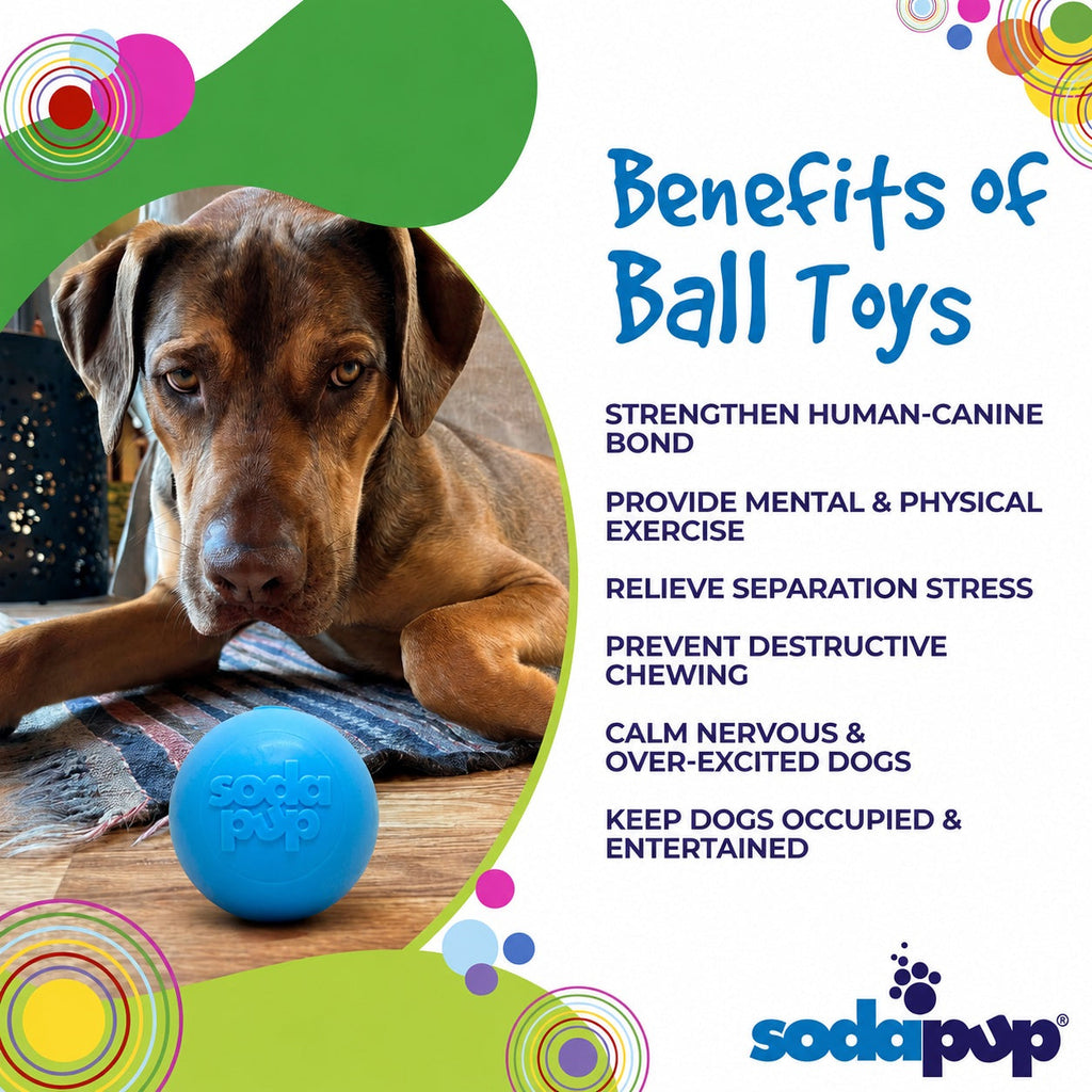 Floating Squeak Ball - Dog Toy