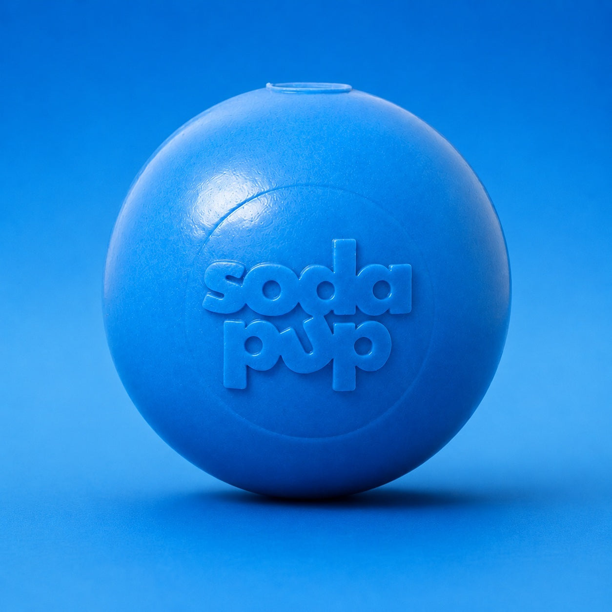 Floating Squeak Ball - Dog Toy