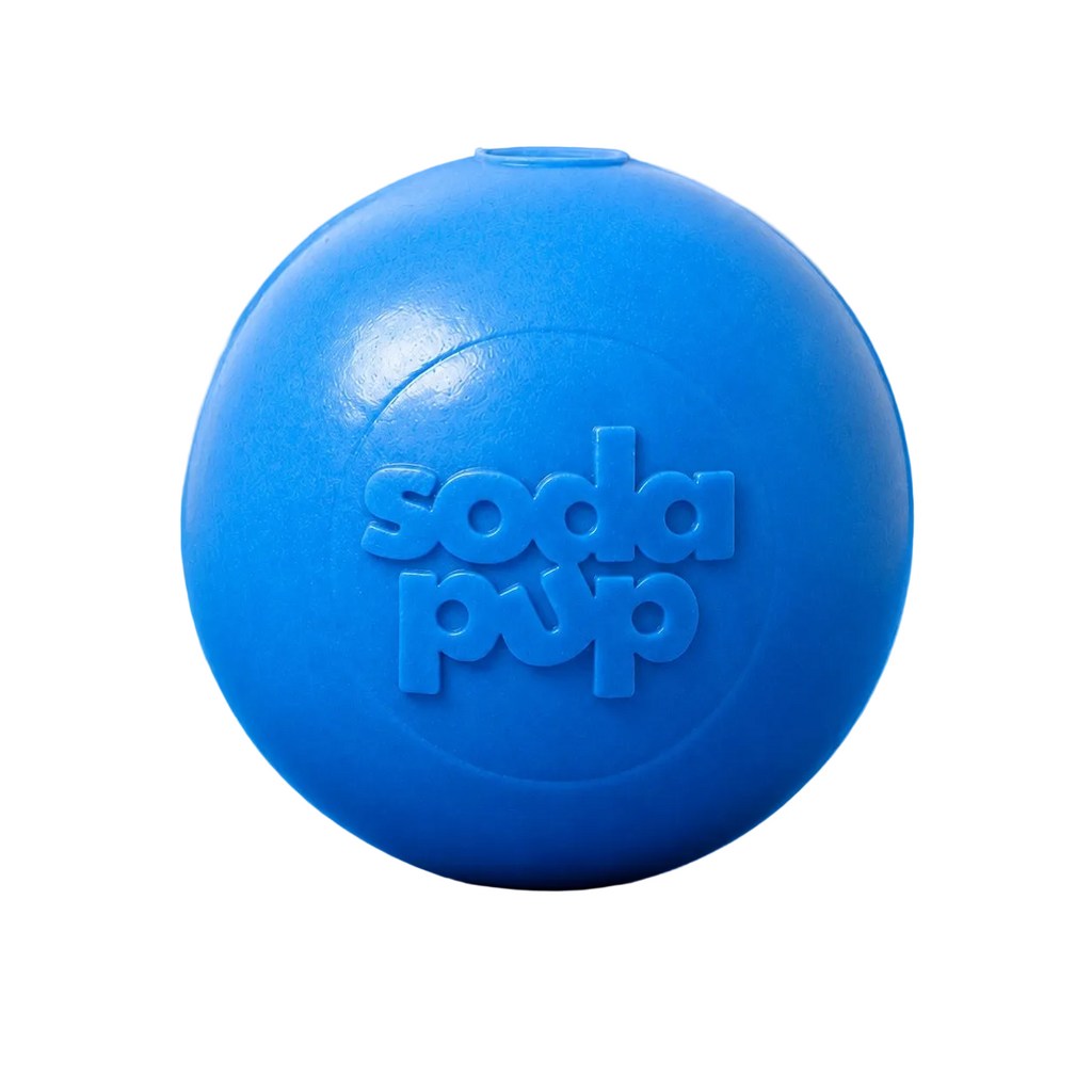 Floating Squeak Ball - Dog Toy