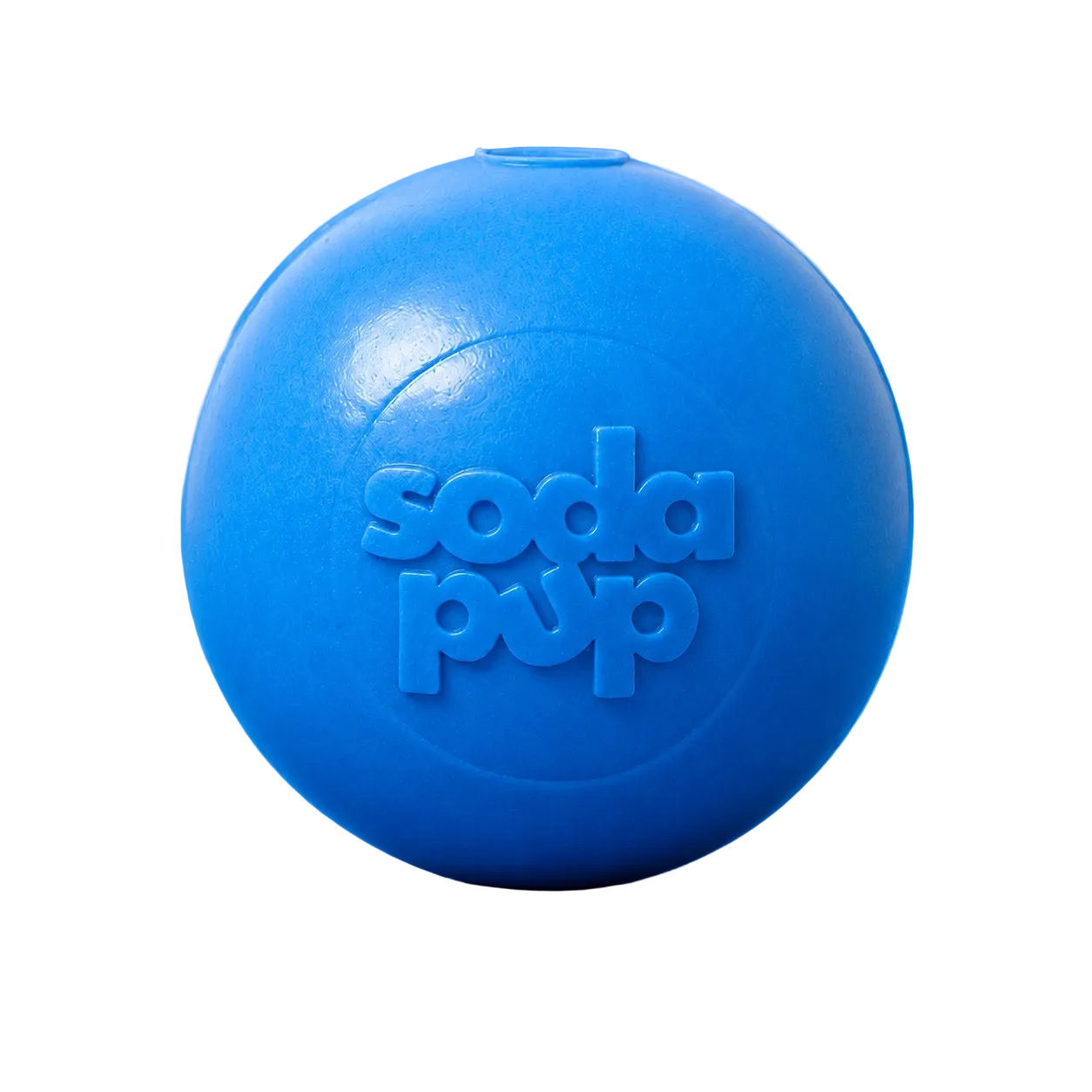 Floating Squeak Ball - Dog Toy